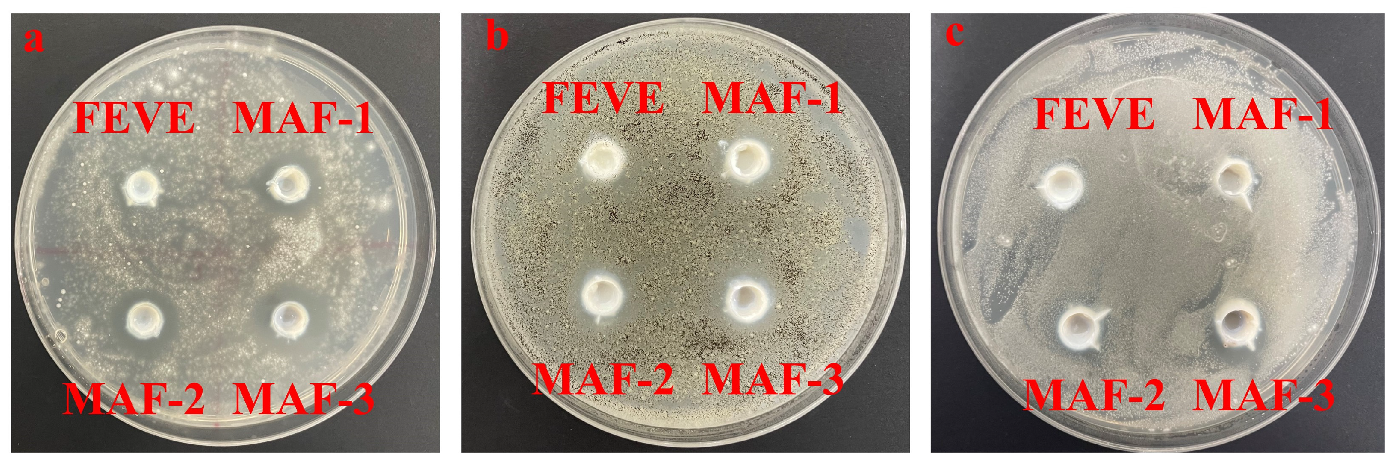 Molecules 29 01365 g006