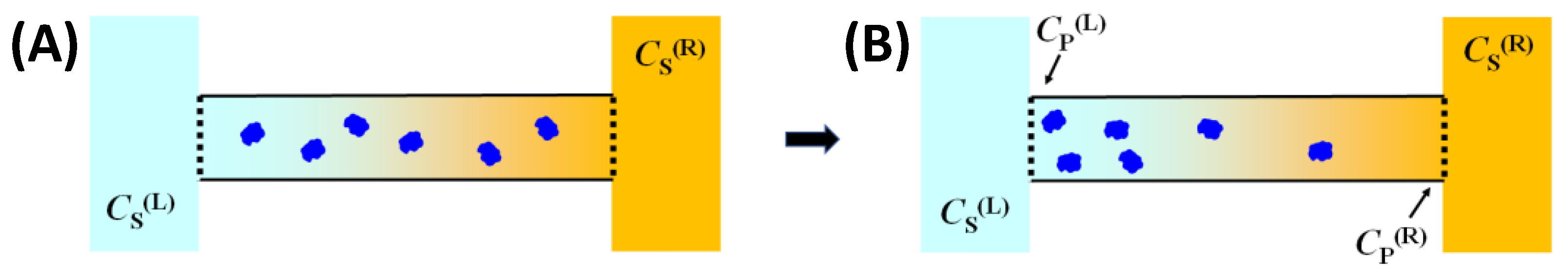 Molecules 29 01367 g003
