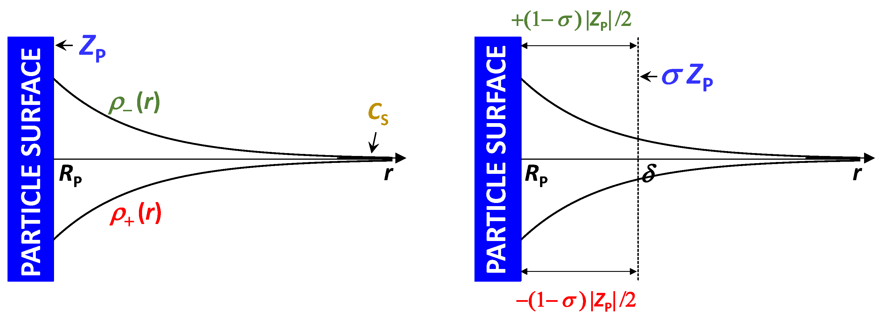 Molecules 29 01367 g017