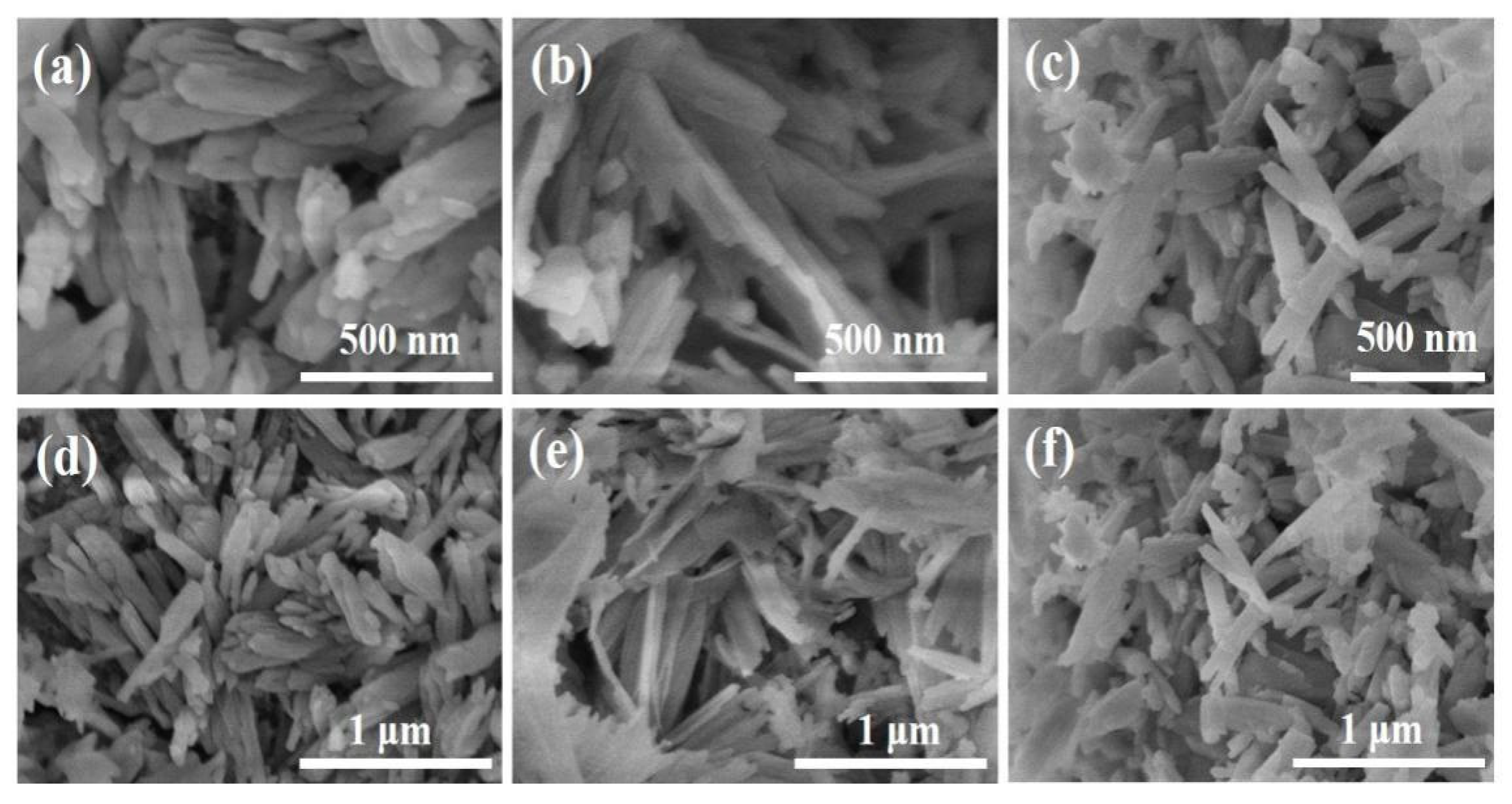 Molecules 29 01369 g002