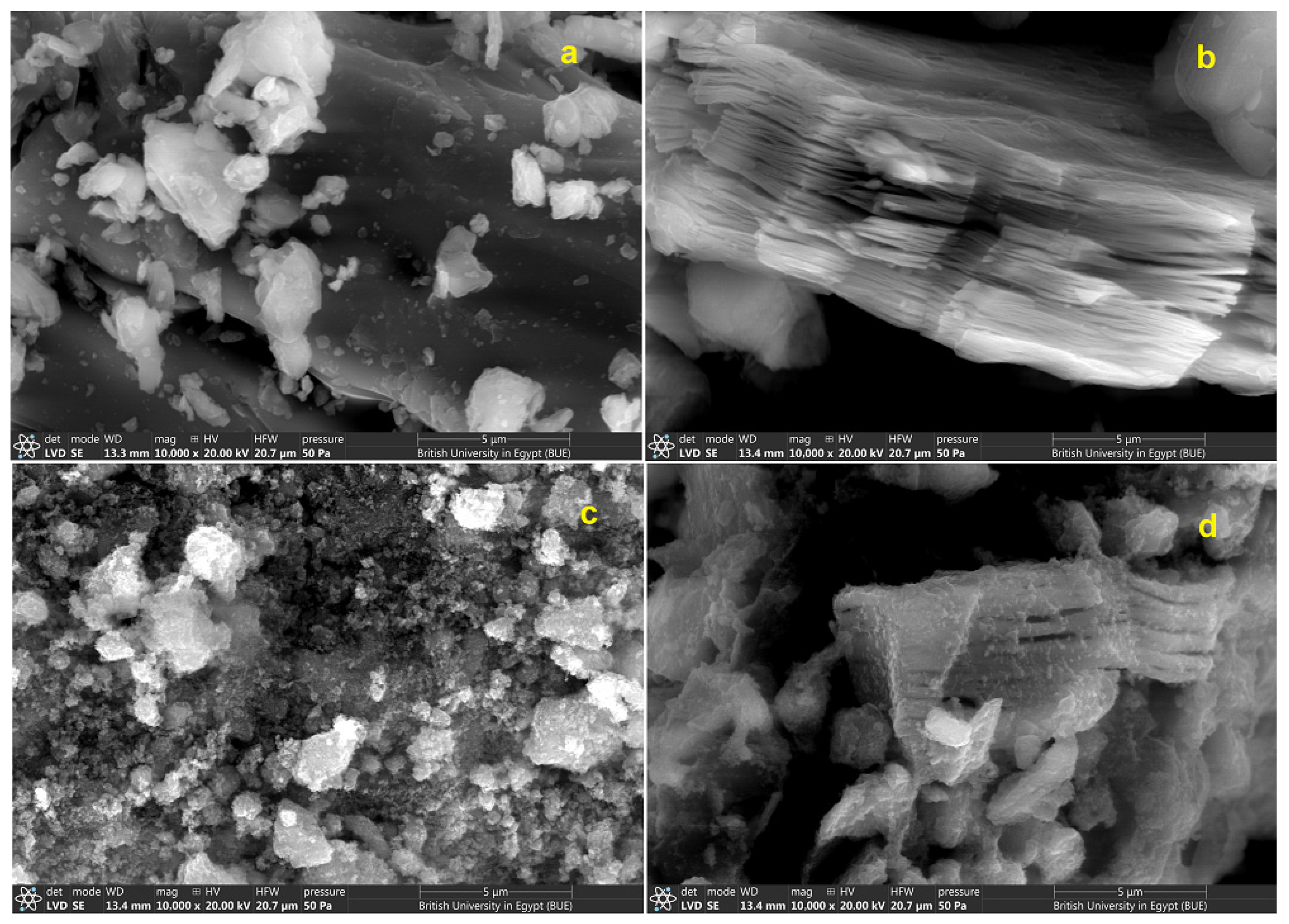 Molecules 29 01372 g002