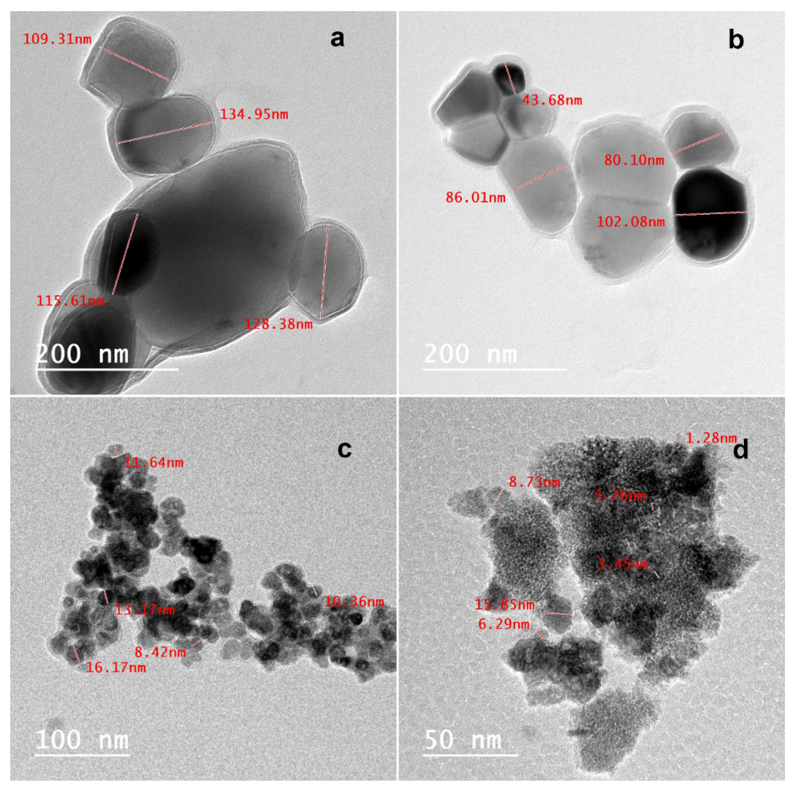 Molecules 29 01372 g003