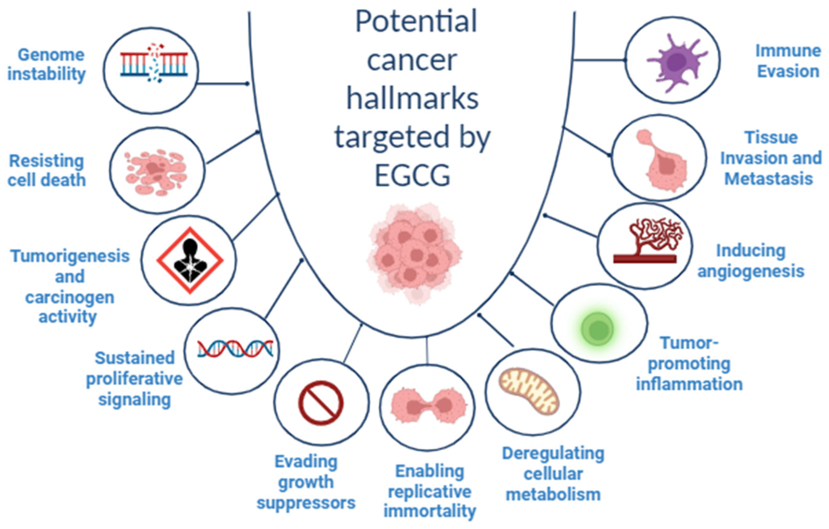Molecules 29 01373 g001 Molecules 29 01373 g001