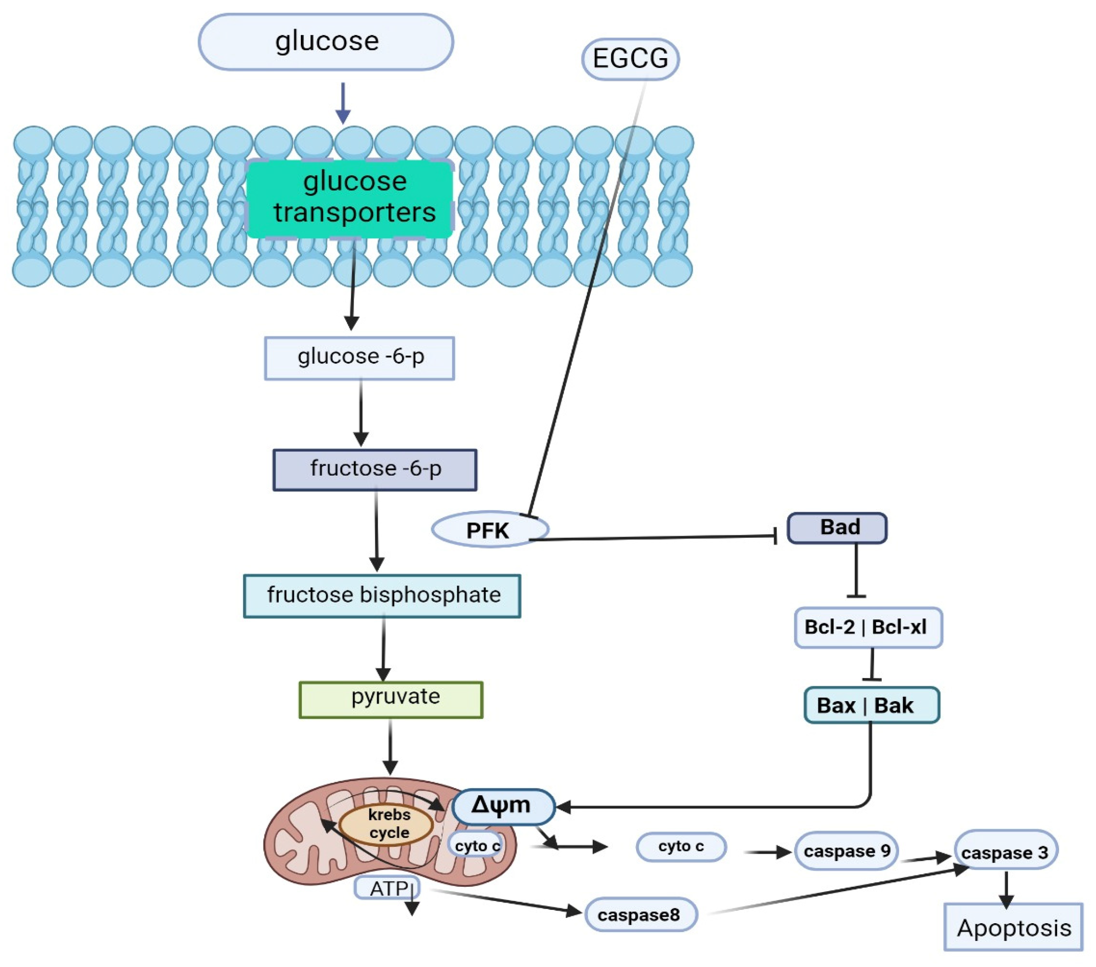 Molecules 29 01373 g006 Molecules 29 01373 g006