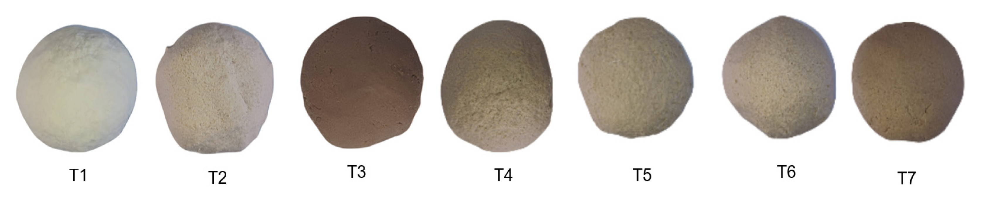 Molecules 29 01374 g001