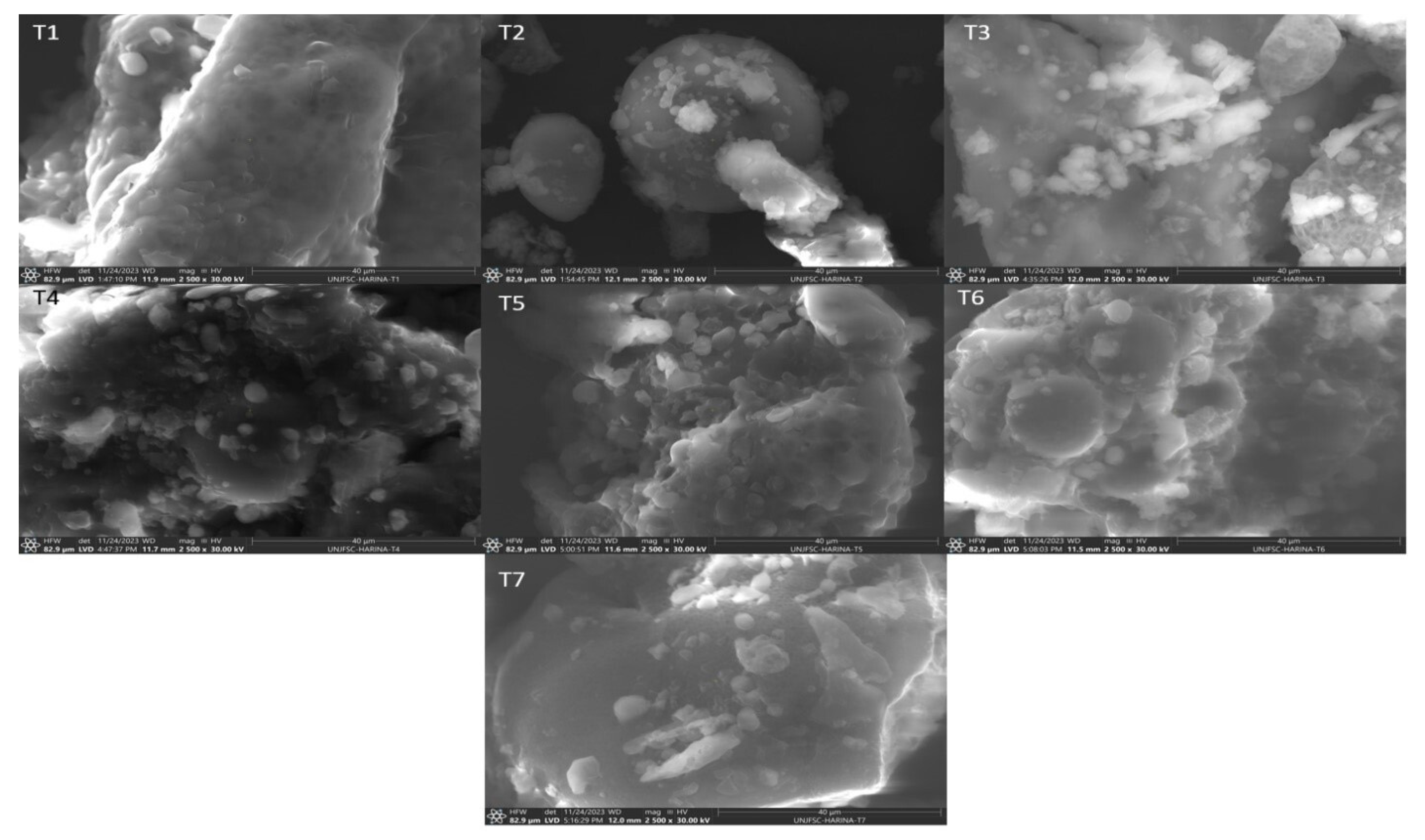 Molecules 29 01374 g002