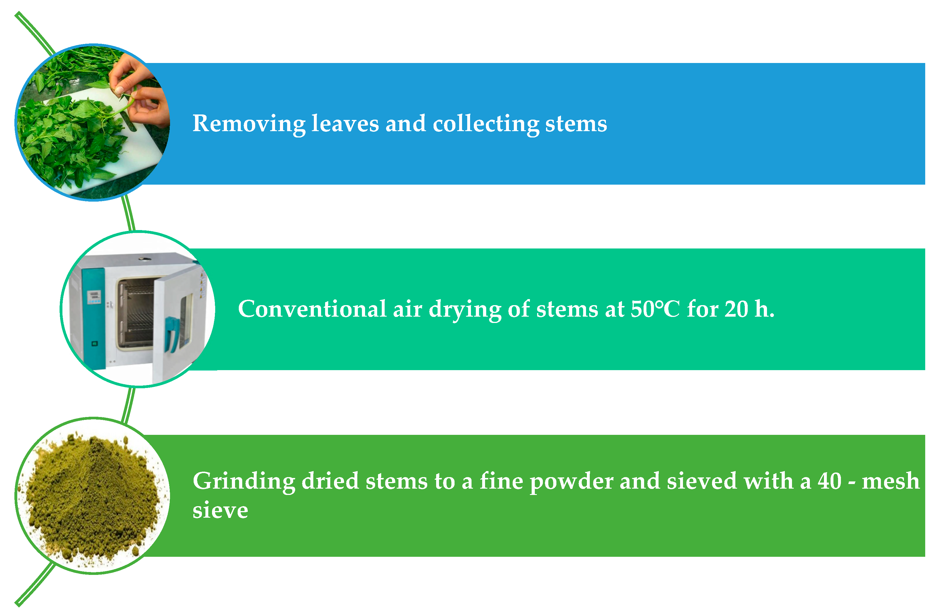 Molecules 29 01377 g003