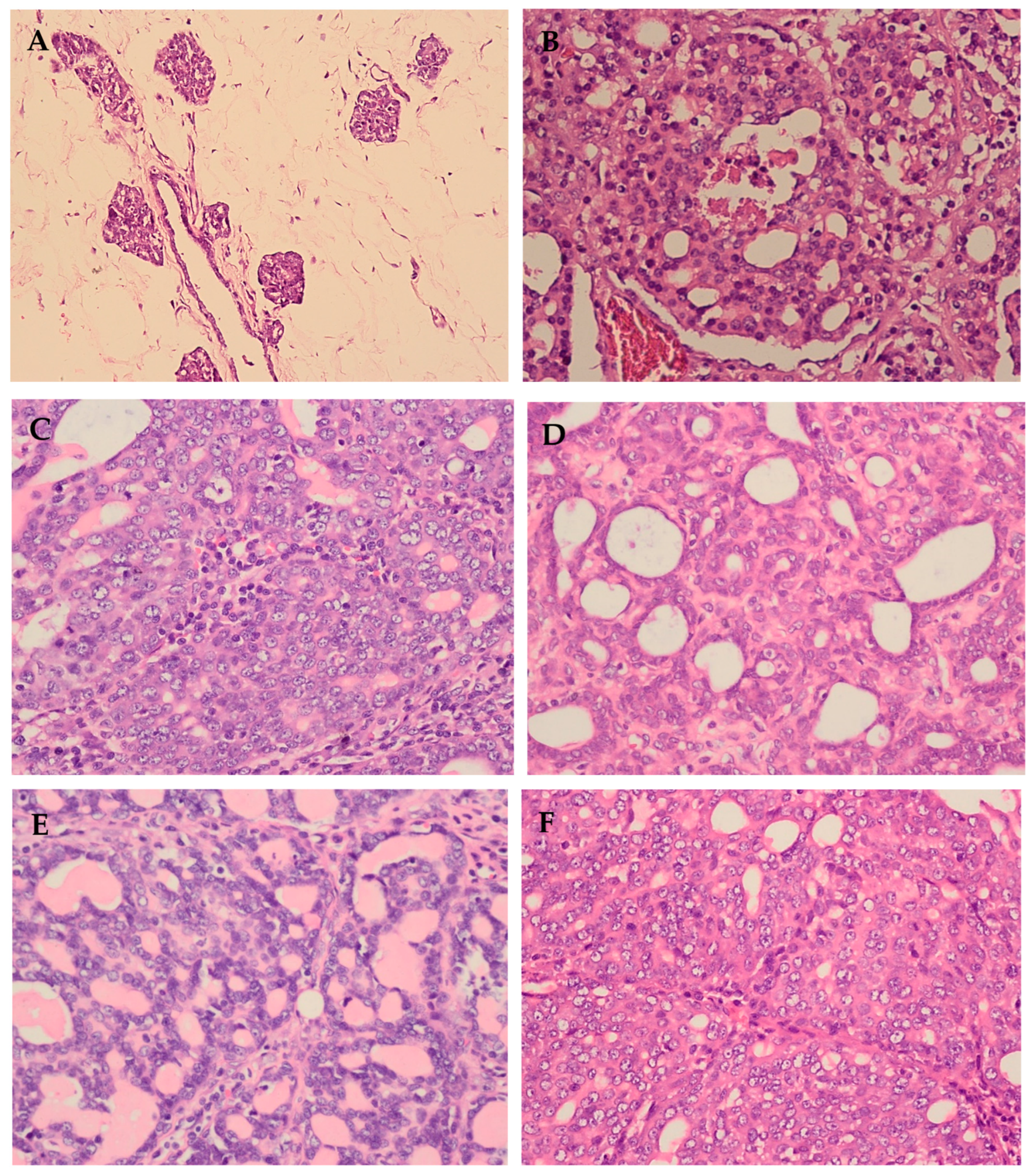 Molecules 29 01380 g003a