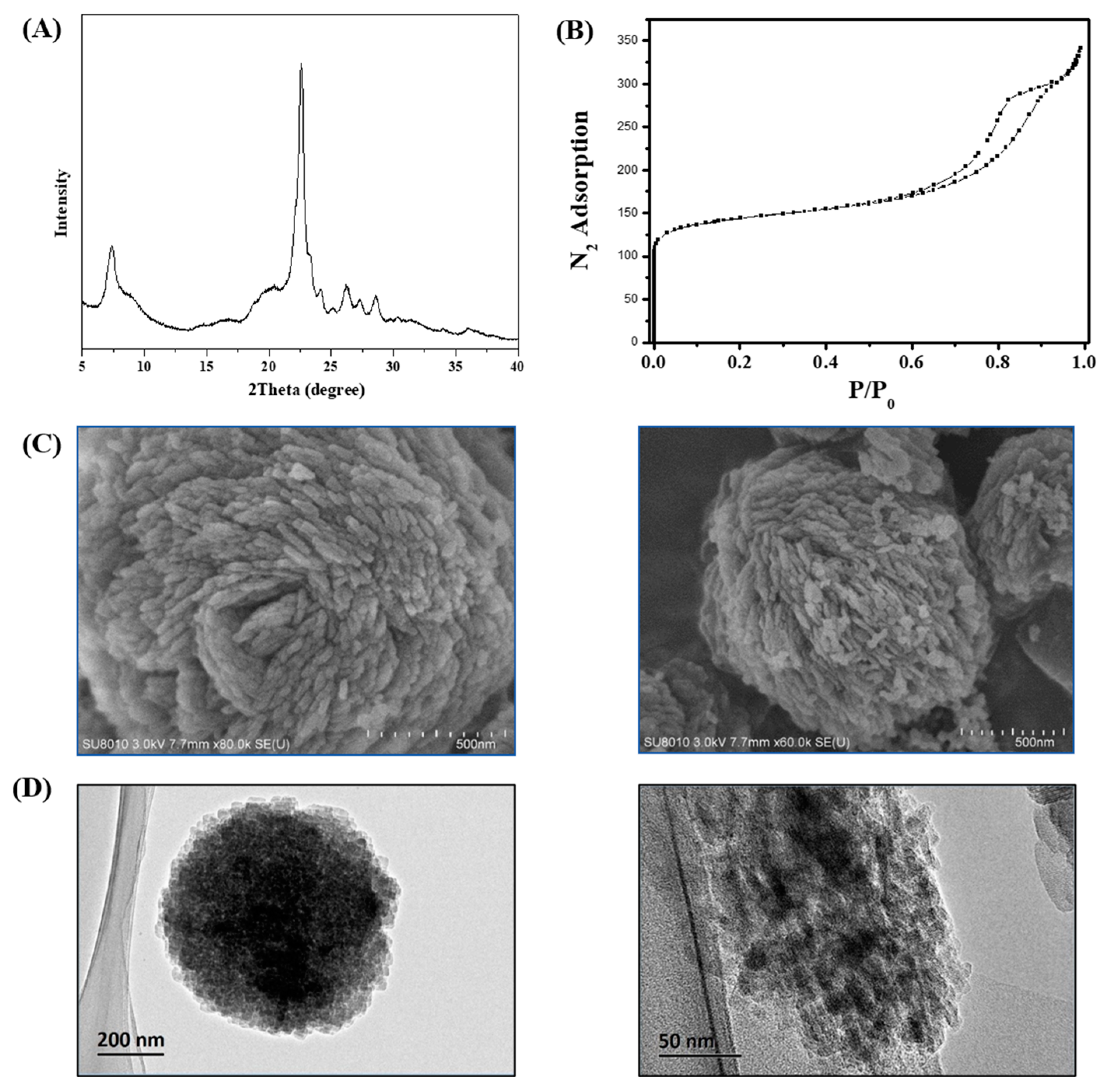 Molecules 29 01386 g002