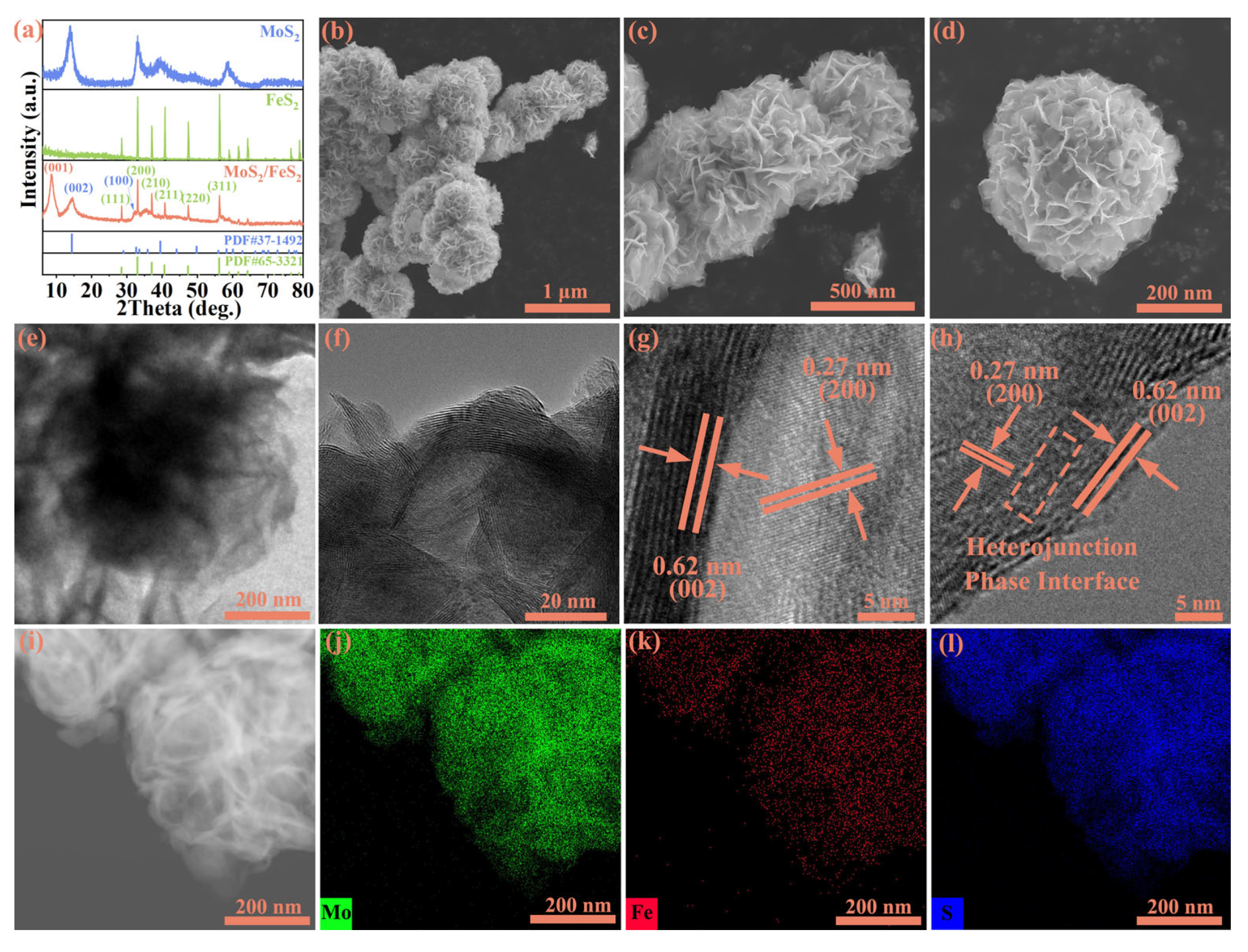 Molecules 29 01387 g001
