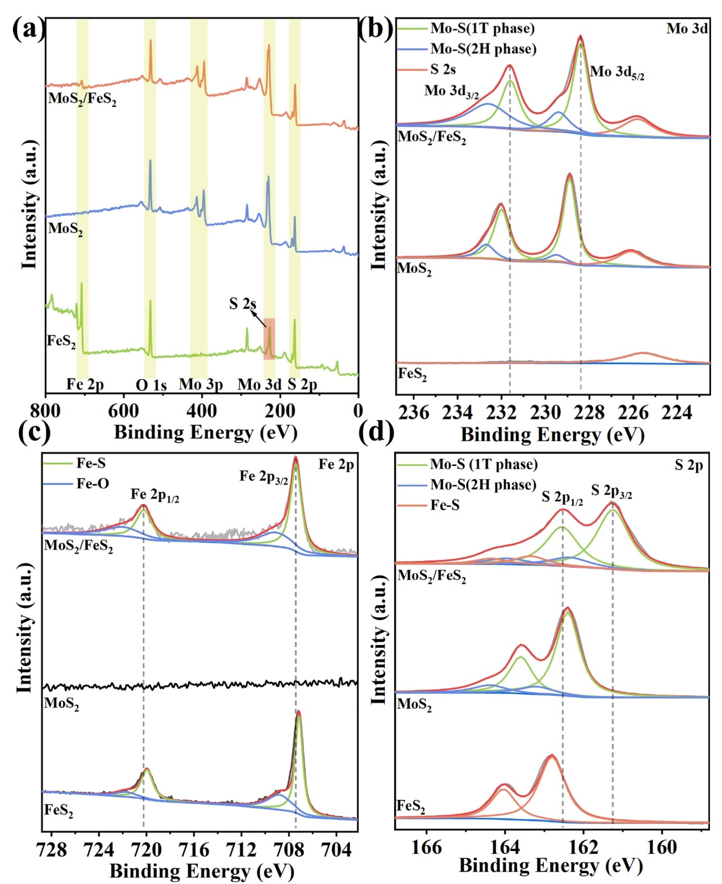 Molecules 29 01387 g002