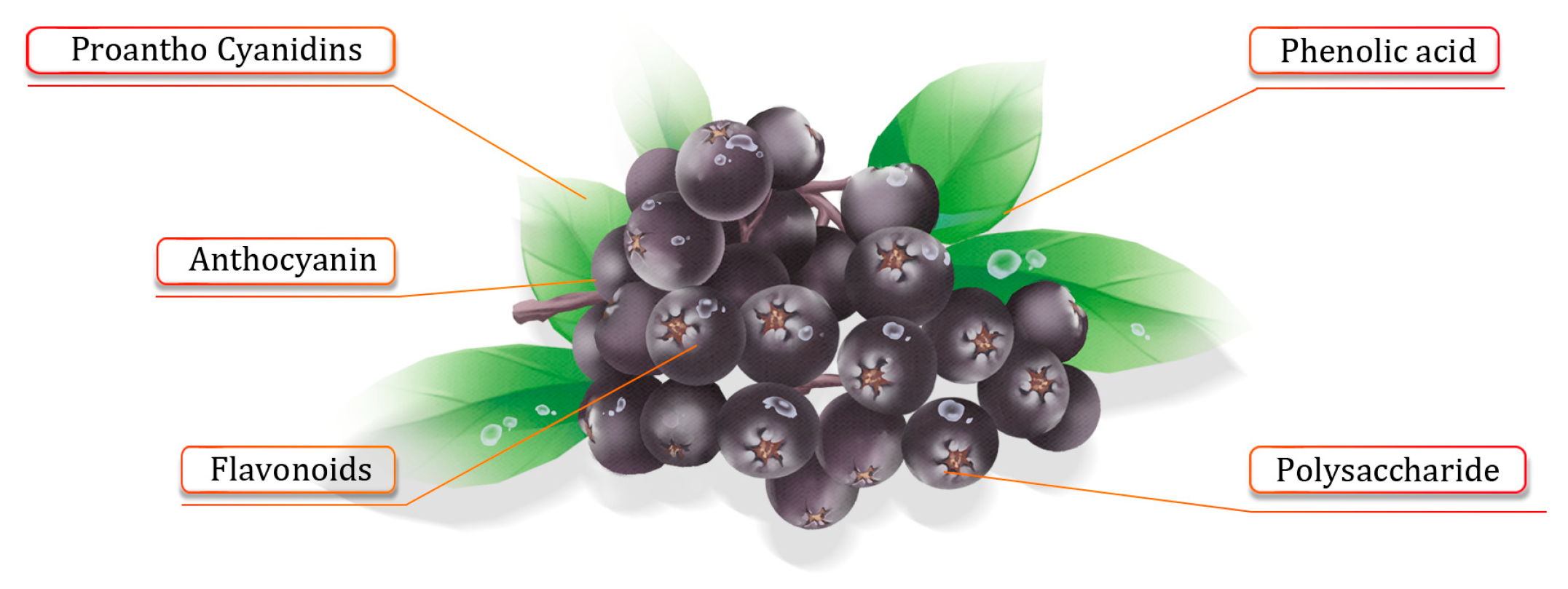 Molecules 29 01388 g001 Molecules 29 01388 g001