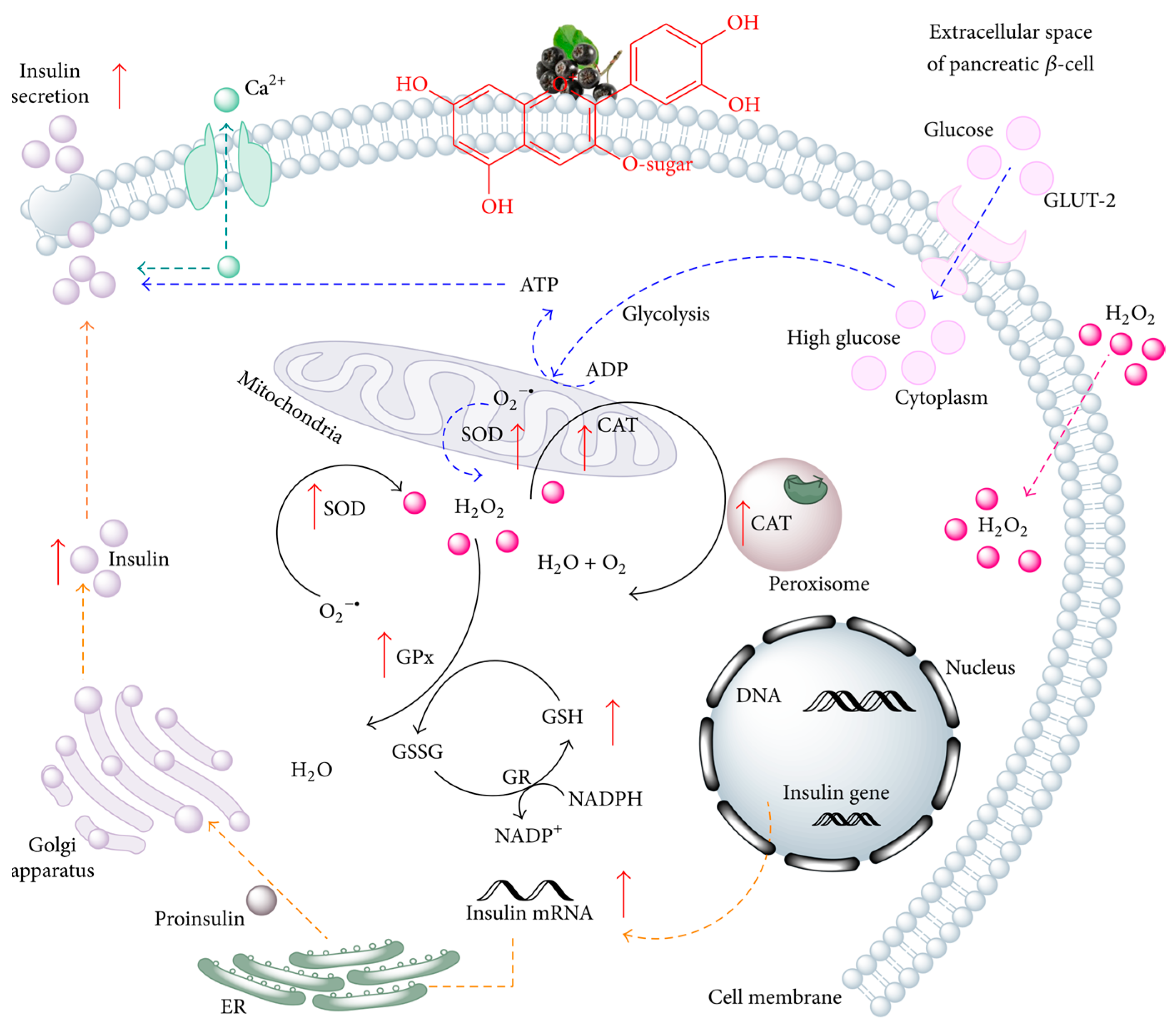 Molecules 29 01388 g002 Molecules 29 01388 g002