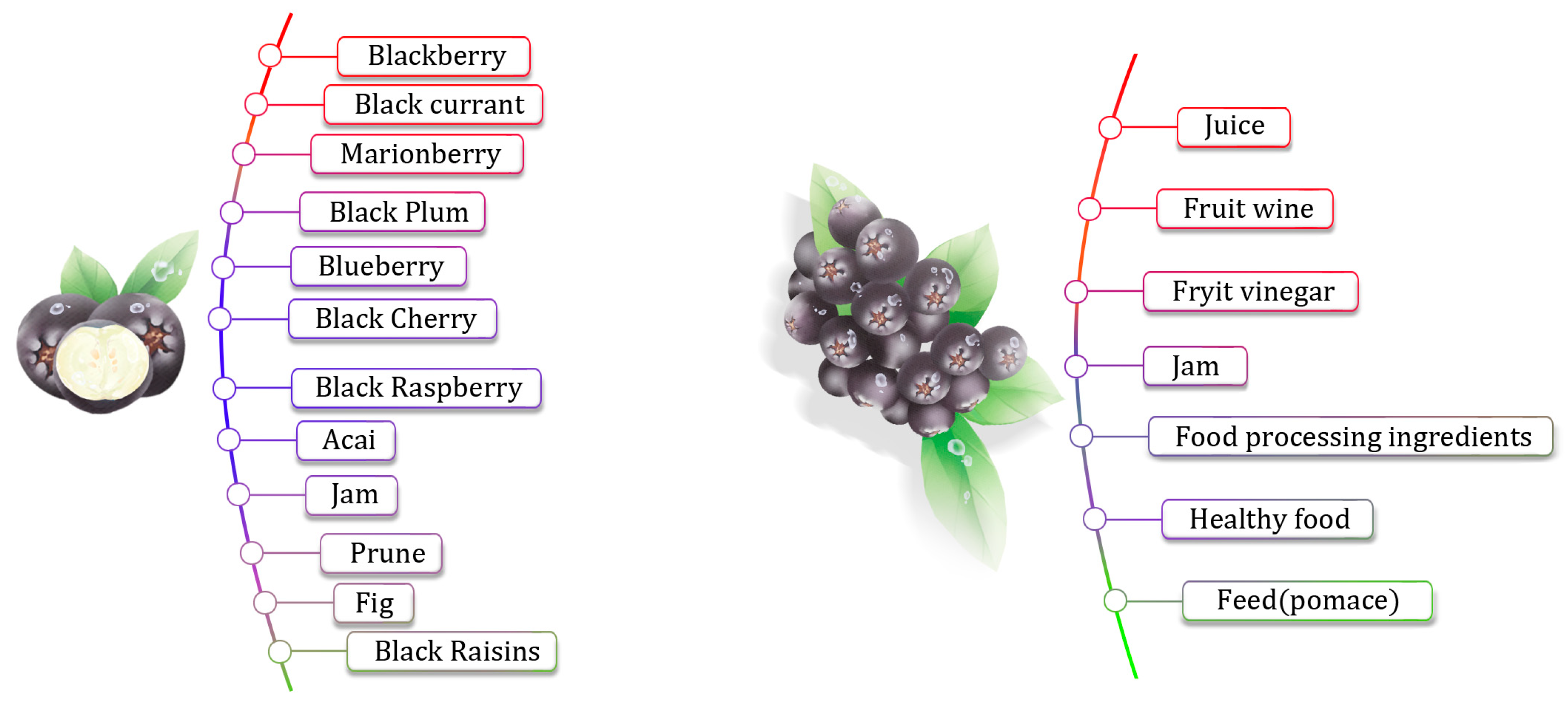 Molecules 29 01388 g005 Molecules 29 01388 g005
