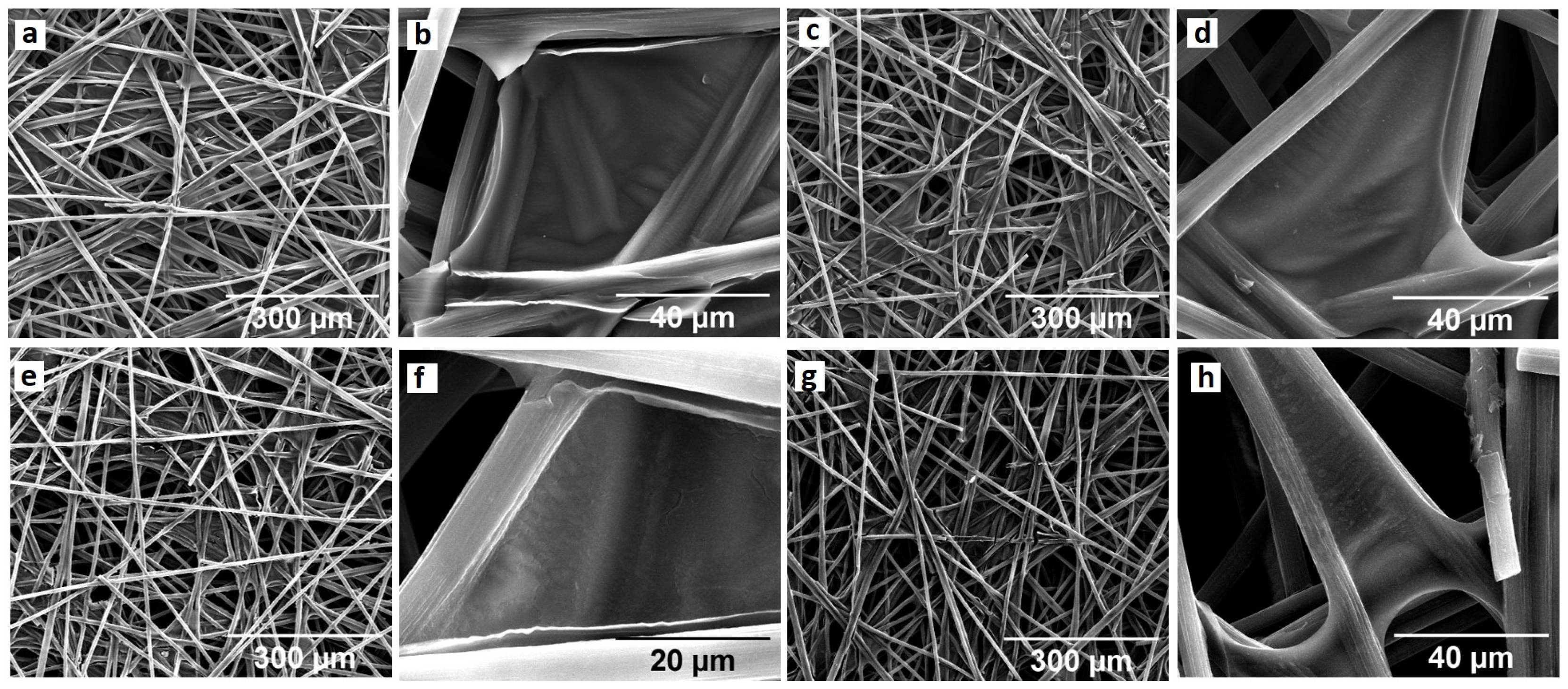 Molecules 29 01391 g001