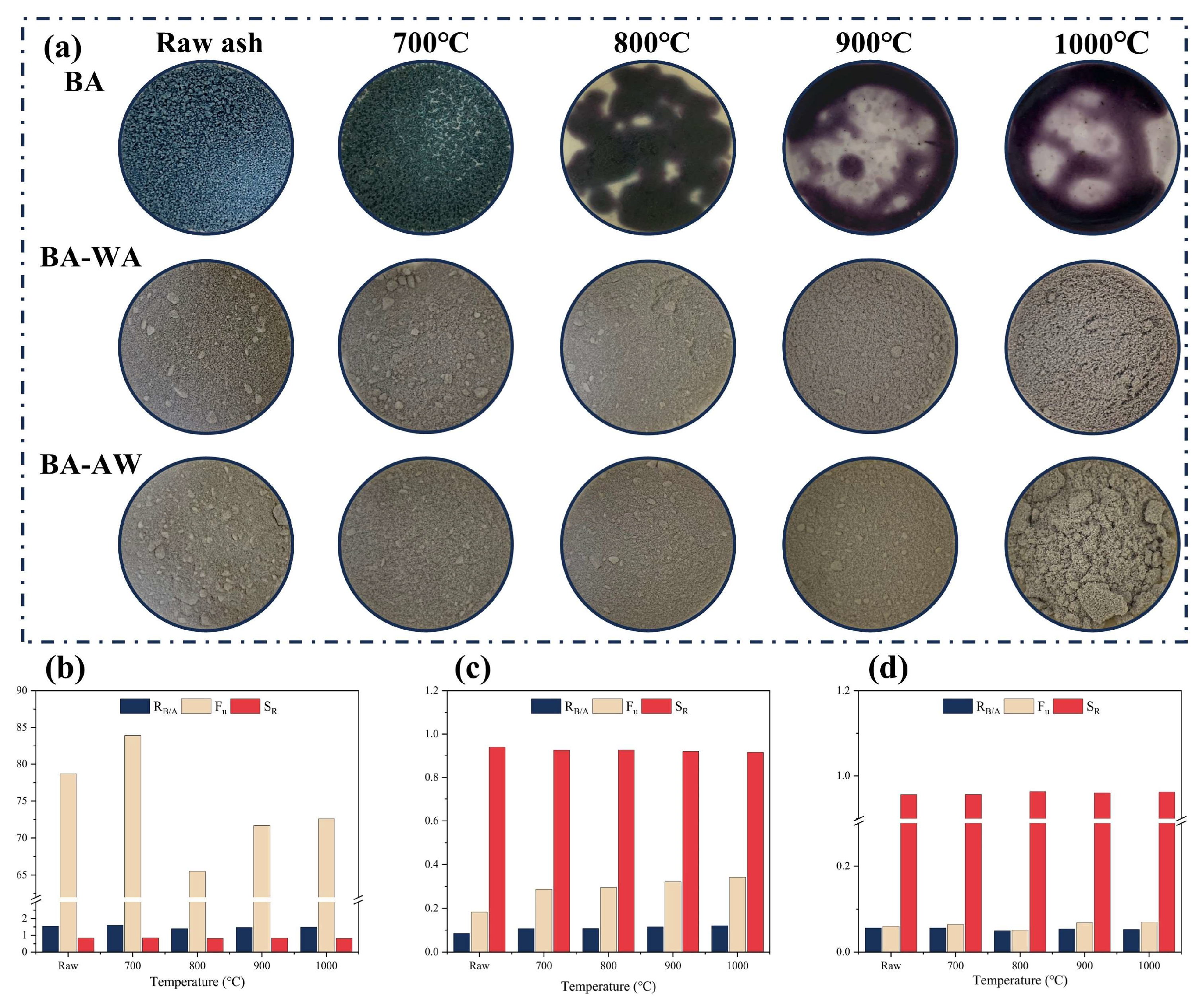 Molecules 29 01400 g001