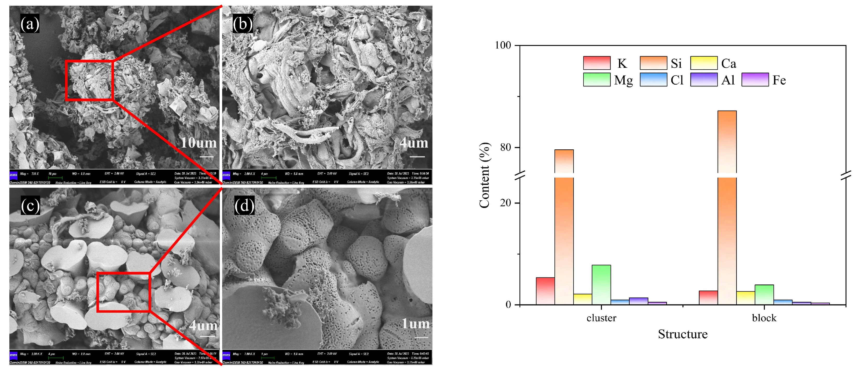 Molecules 29 01400 g005