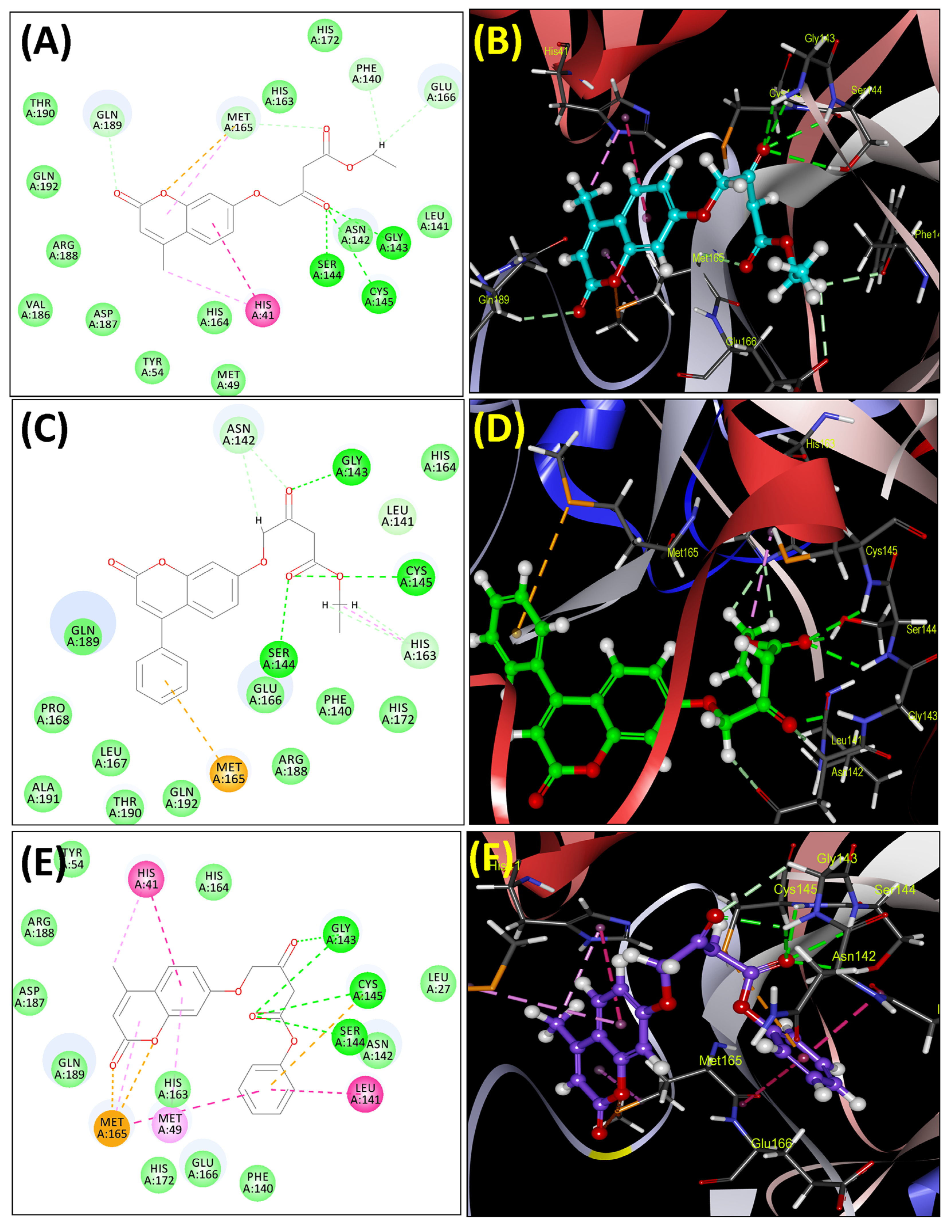 Molecules 29 01406 g002