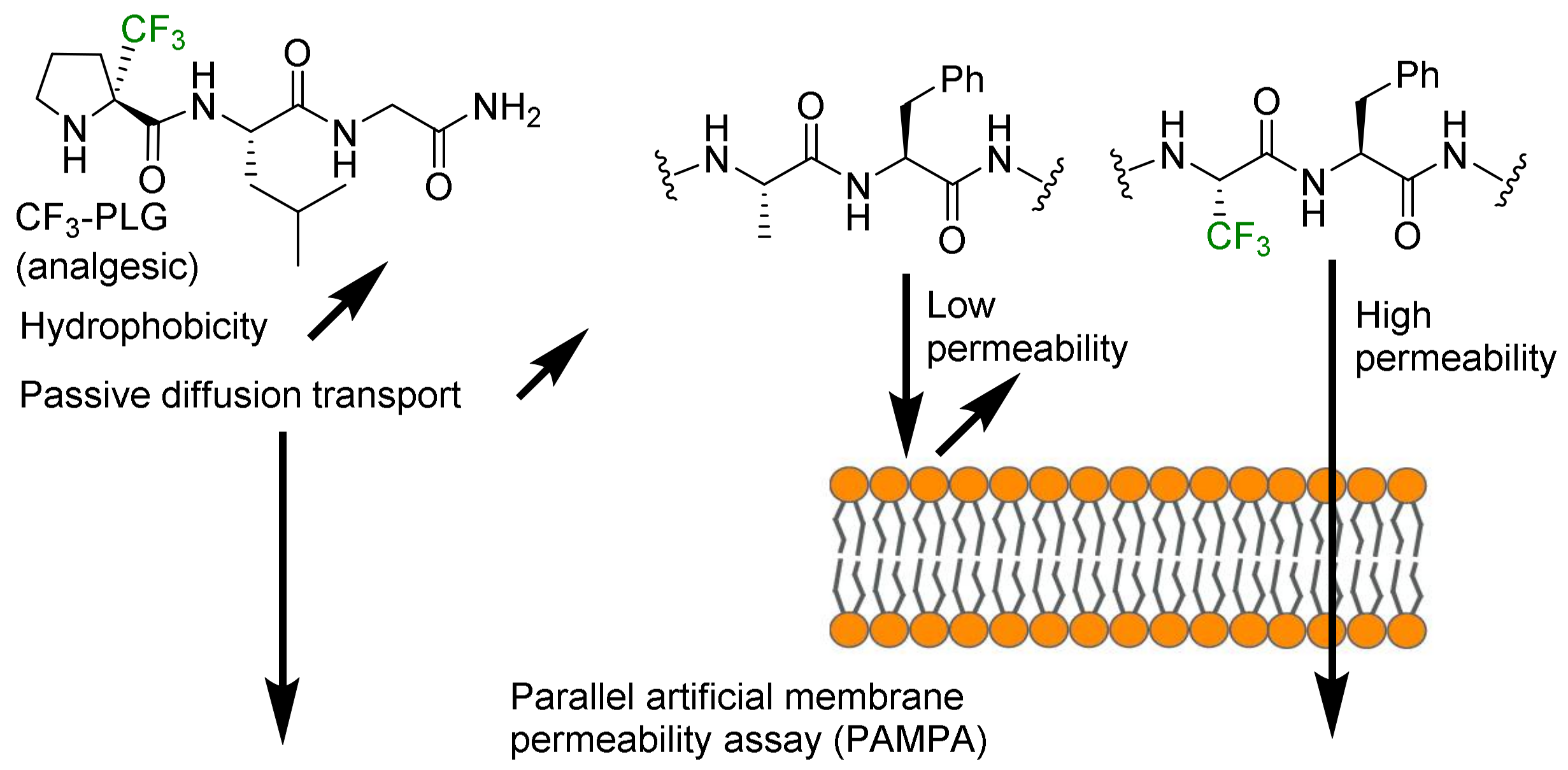 Molecules 29 01408 g008