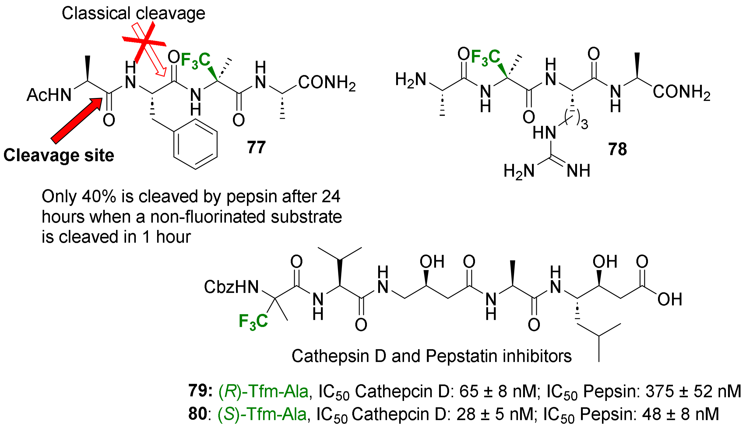 Molecules 29 01408 g009