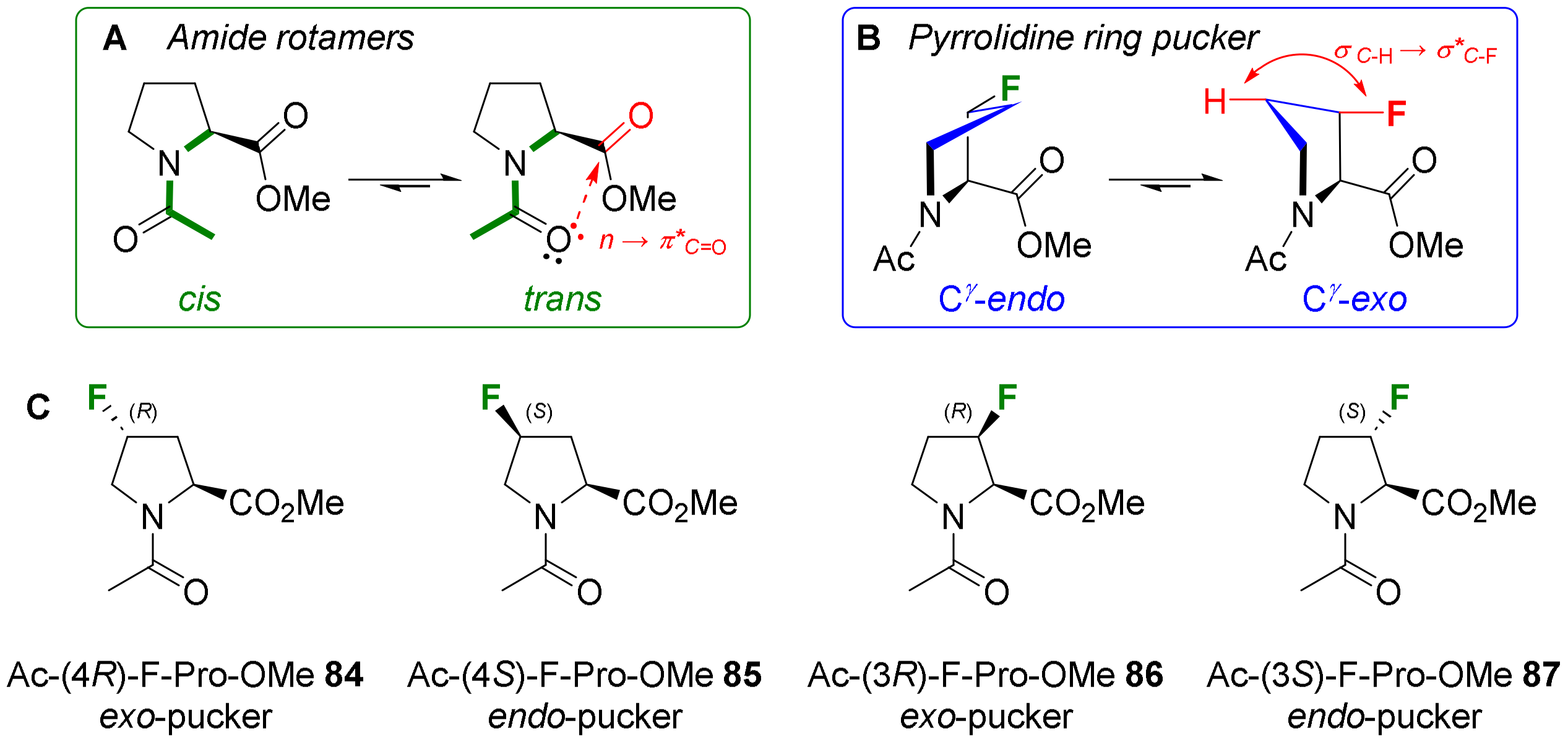 Molecules 29 01408 g011