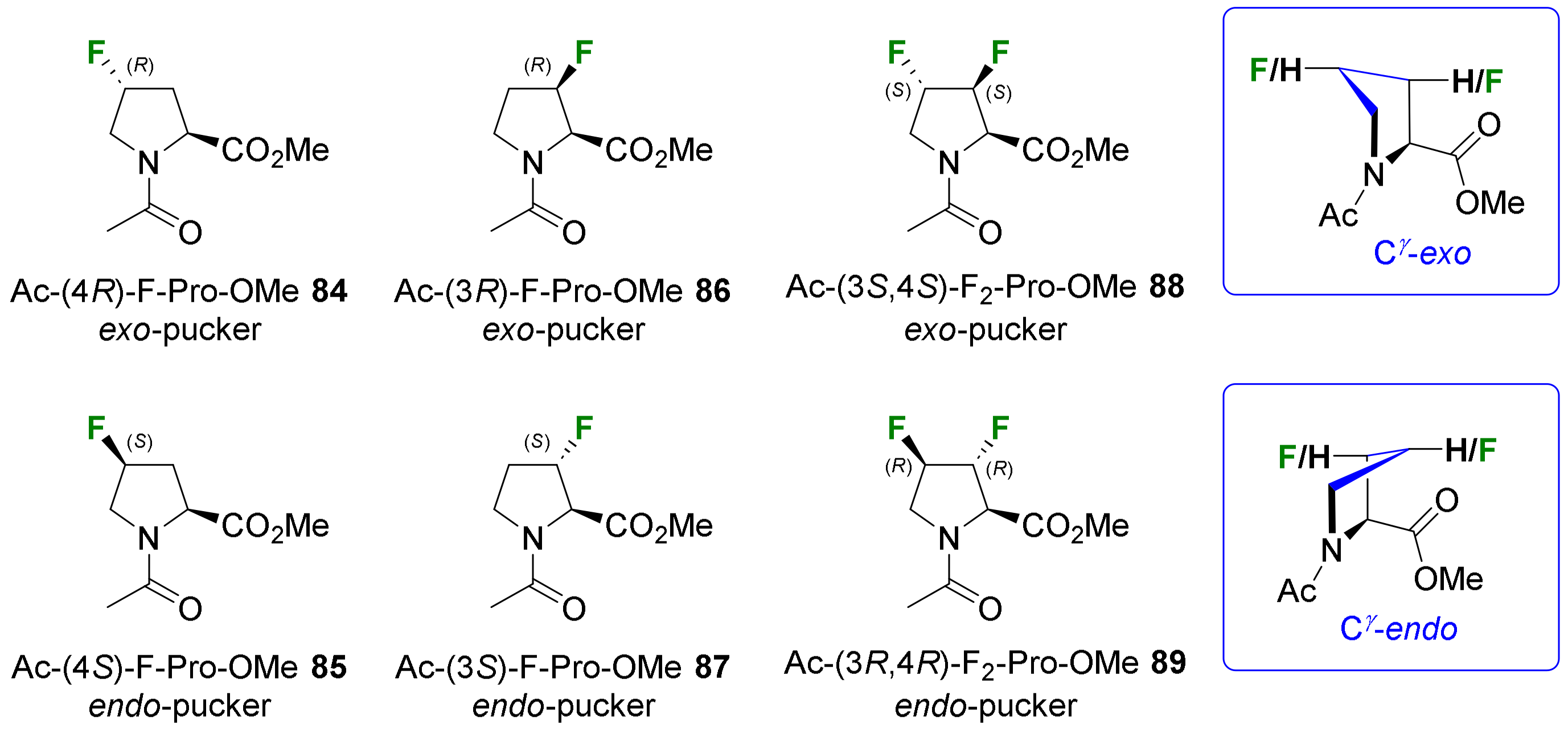 Molecules 29 01408 g012