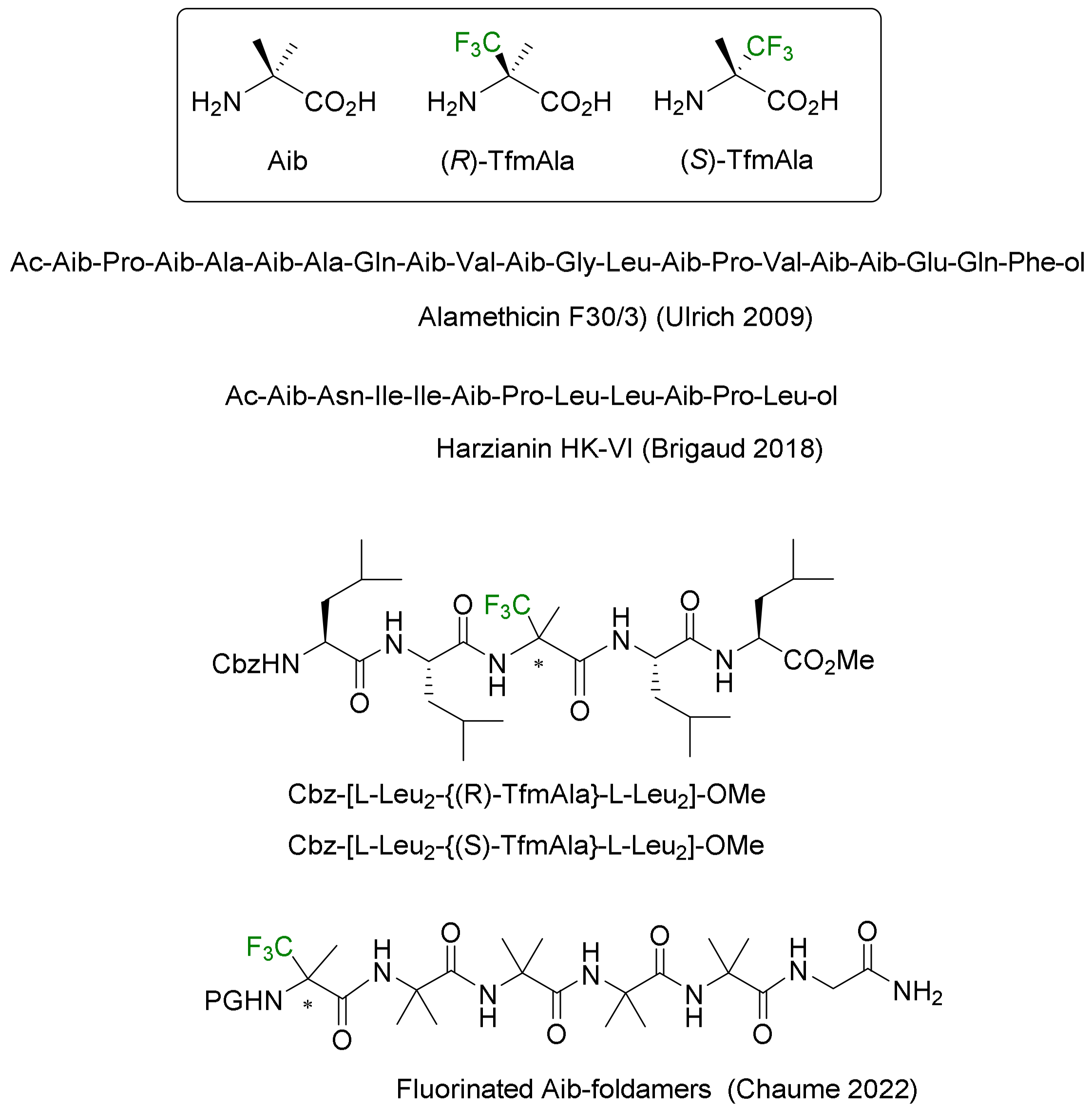 Molecules 29 01408 g014