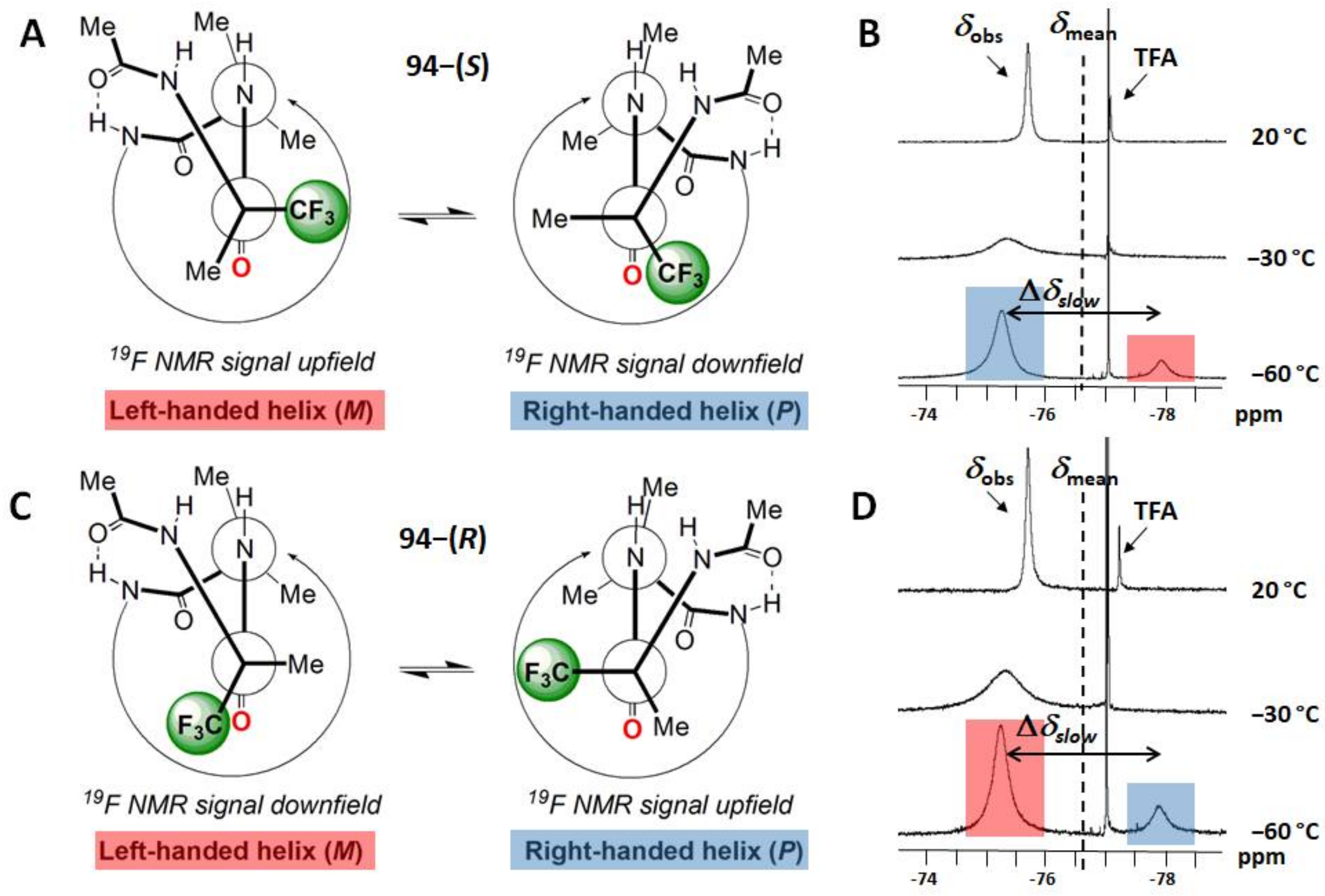 Molecules 29 01408 g017