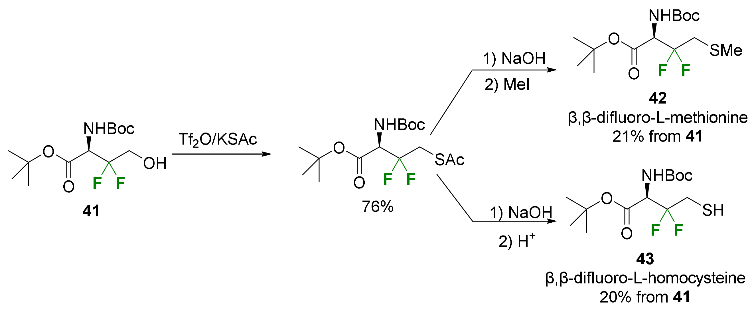 Molecules 29 01408 sch011