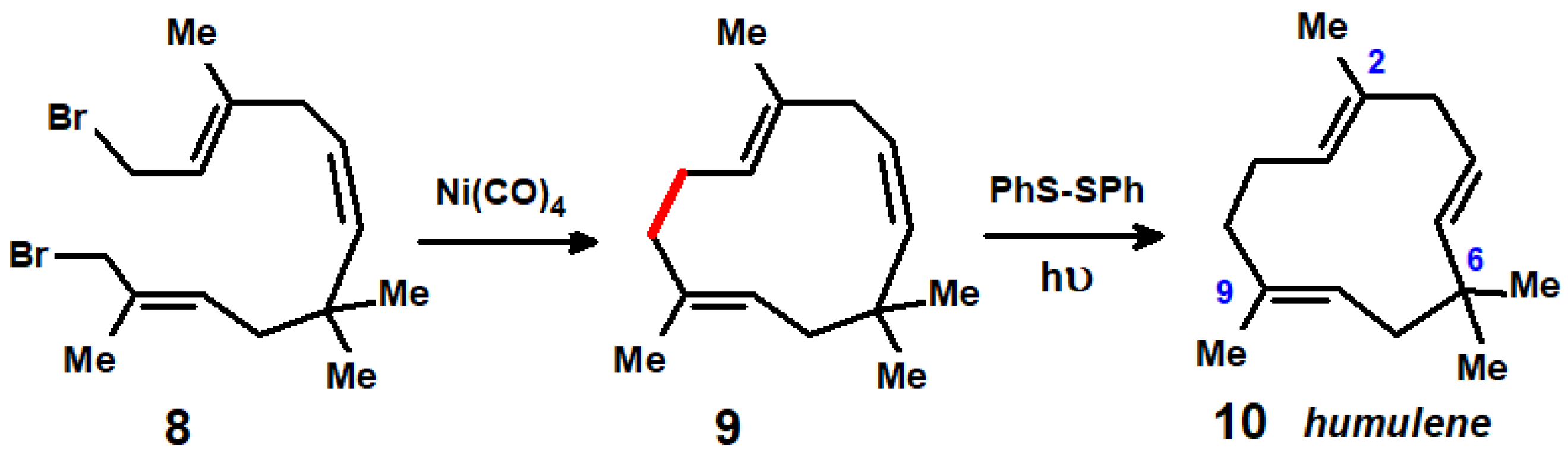 Molecules 29 01409 sch007