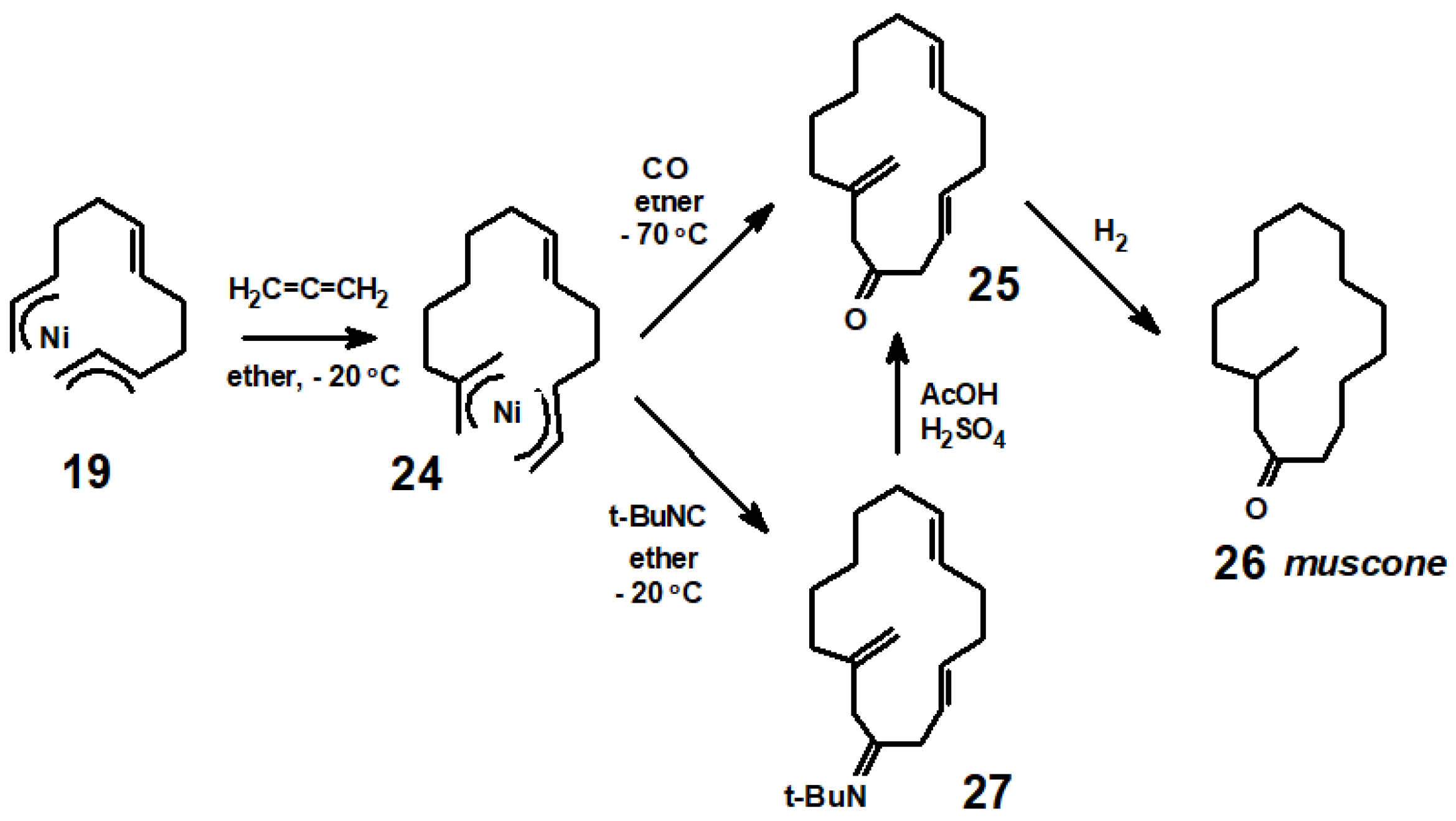 Molecules 29 01409 sch013