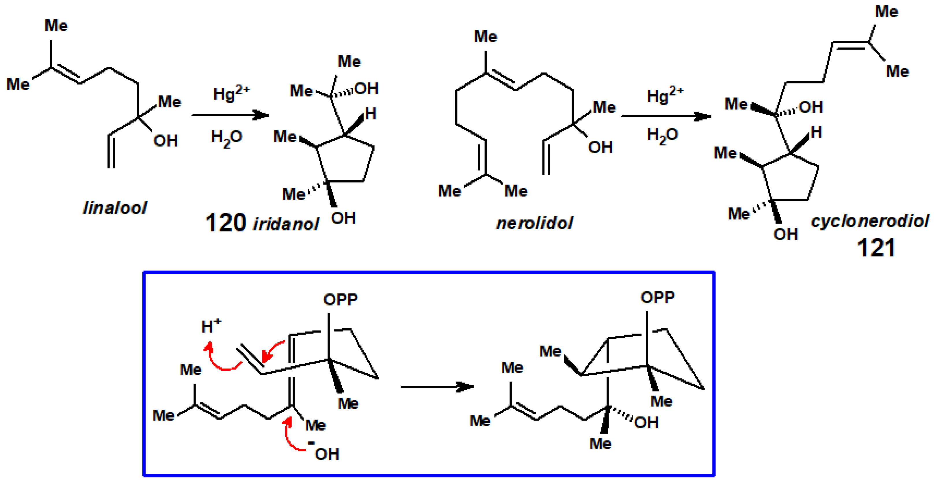 Molecules 29 01409 sch048