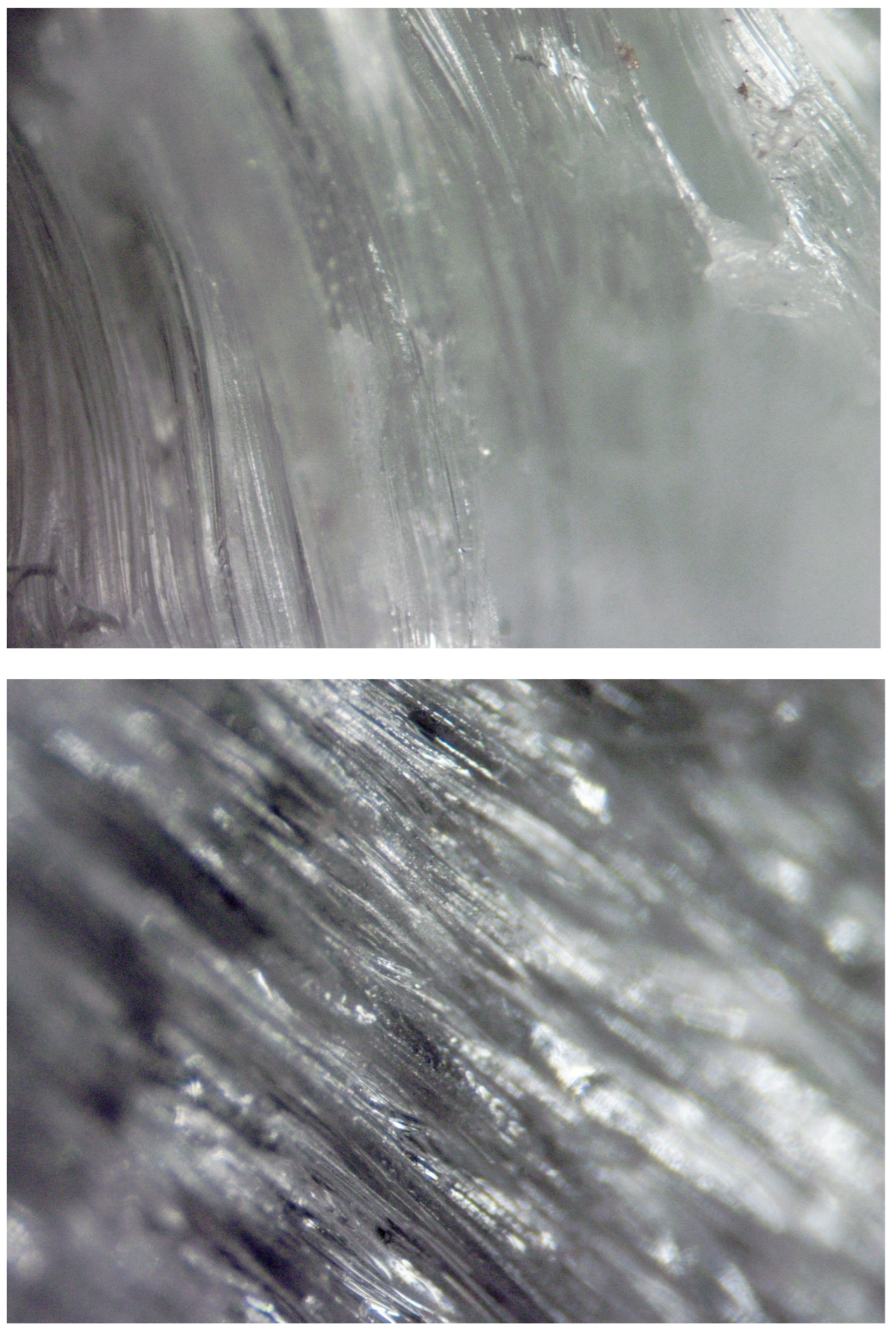 Molecules 29 01420 g004