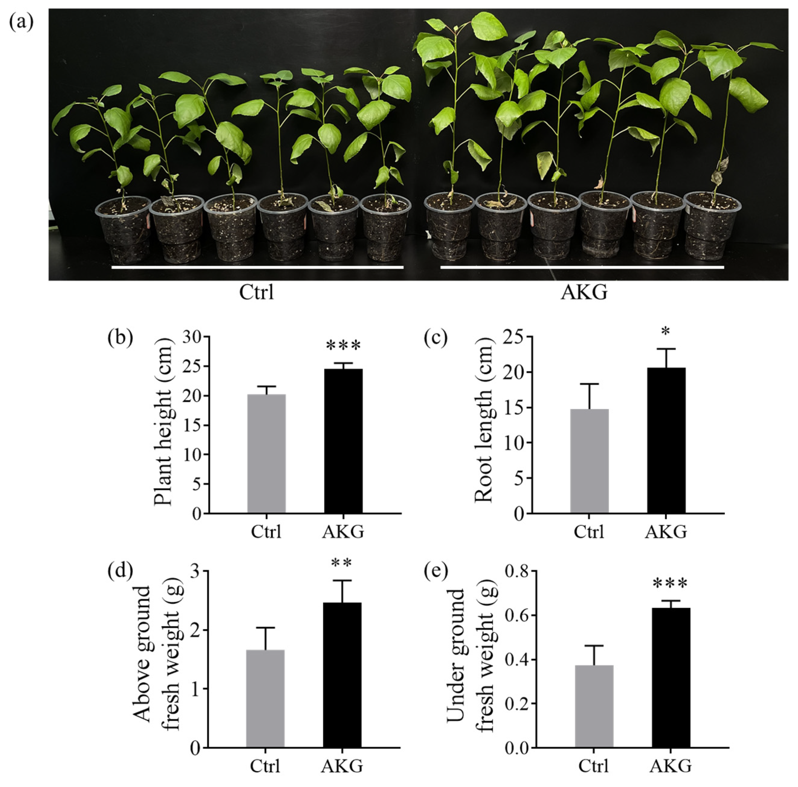 Molecules 29 01425 g001
