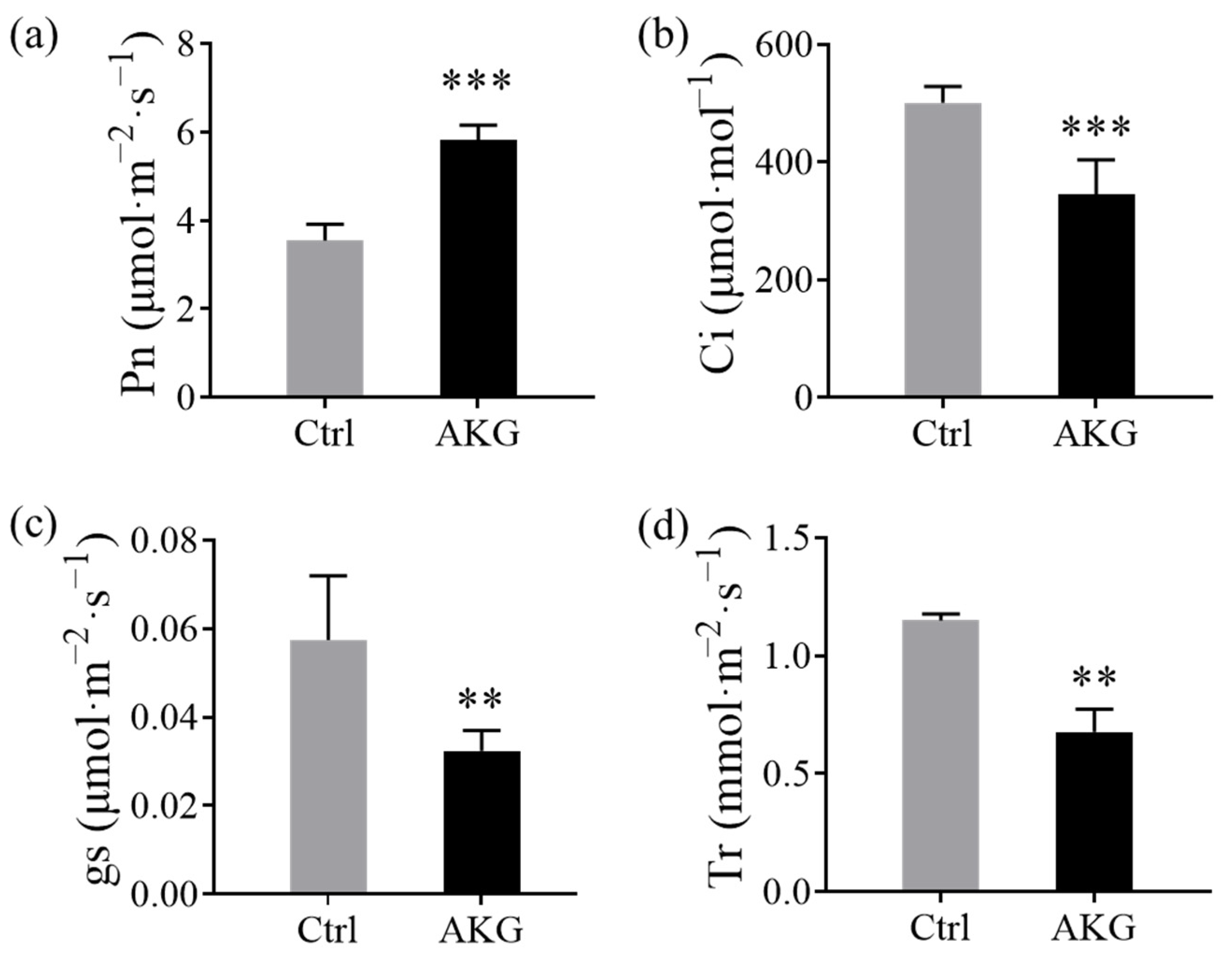 Molecules 29 01425 g002