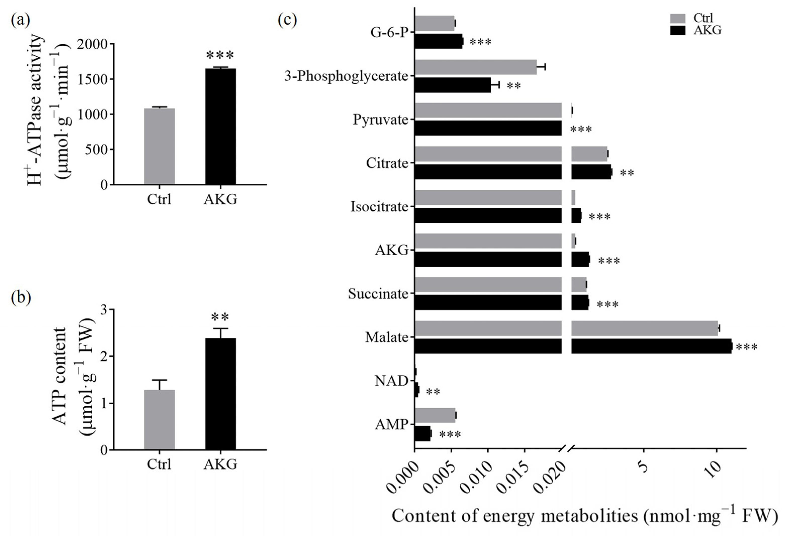 Molecules 29 01425 g007