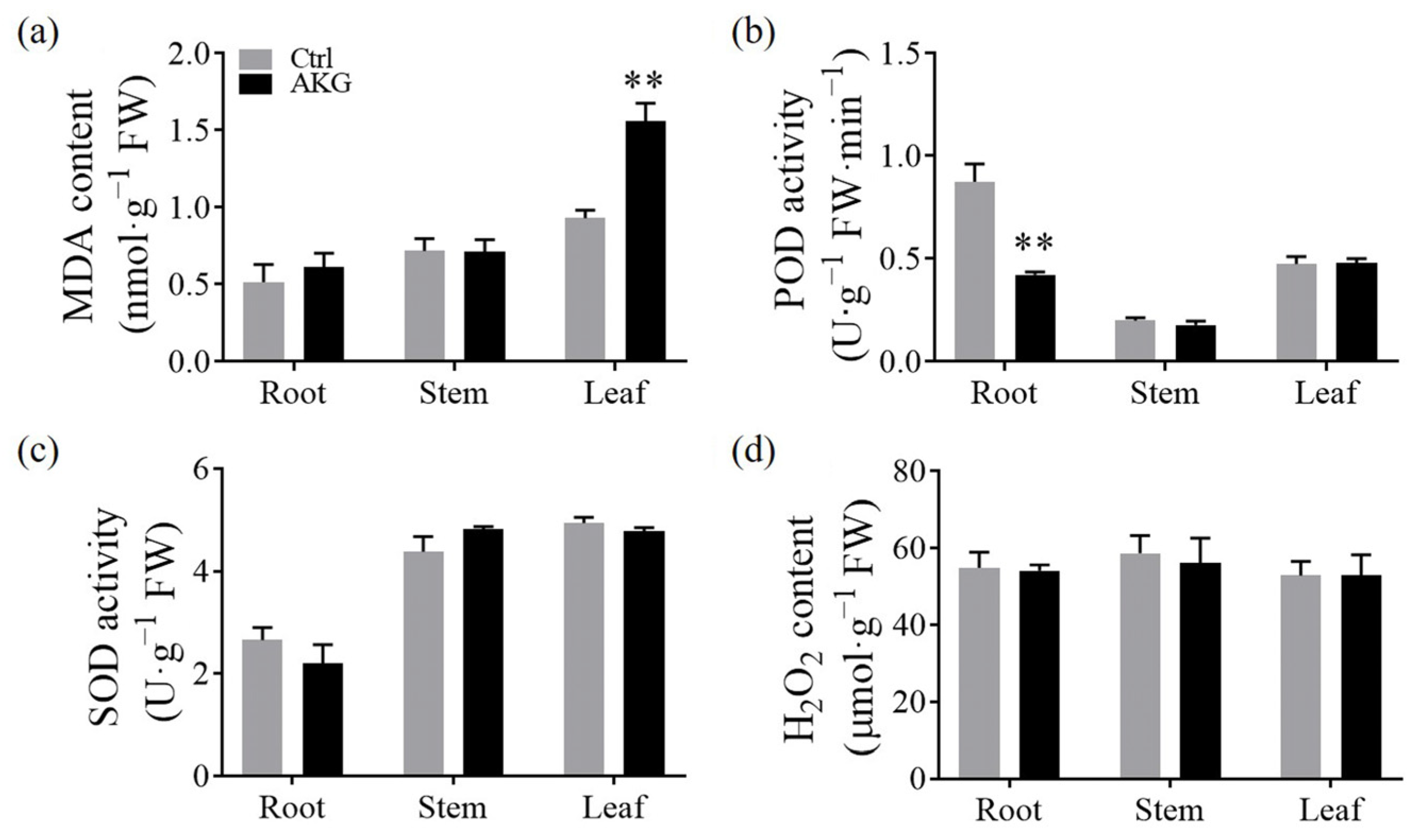 Molecules 29 01425 g008