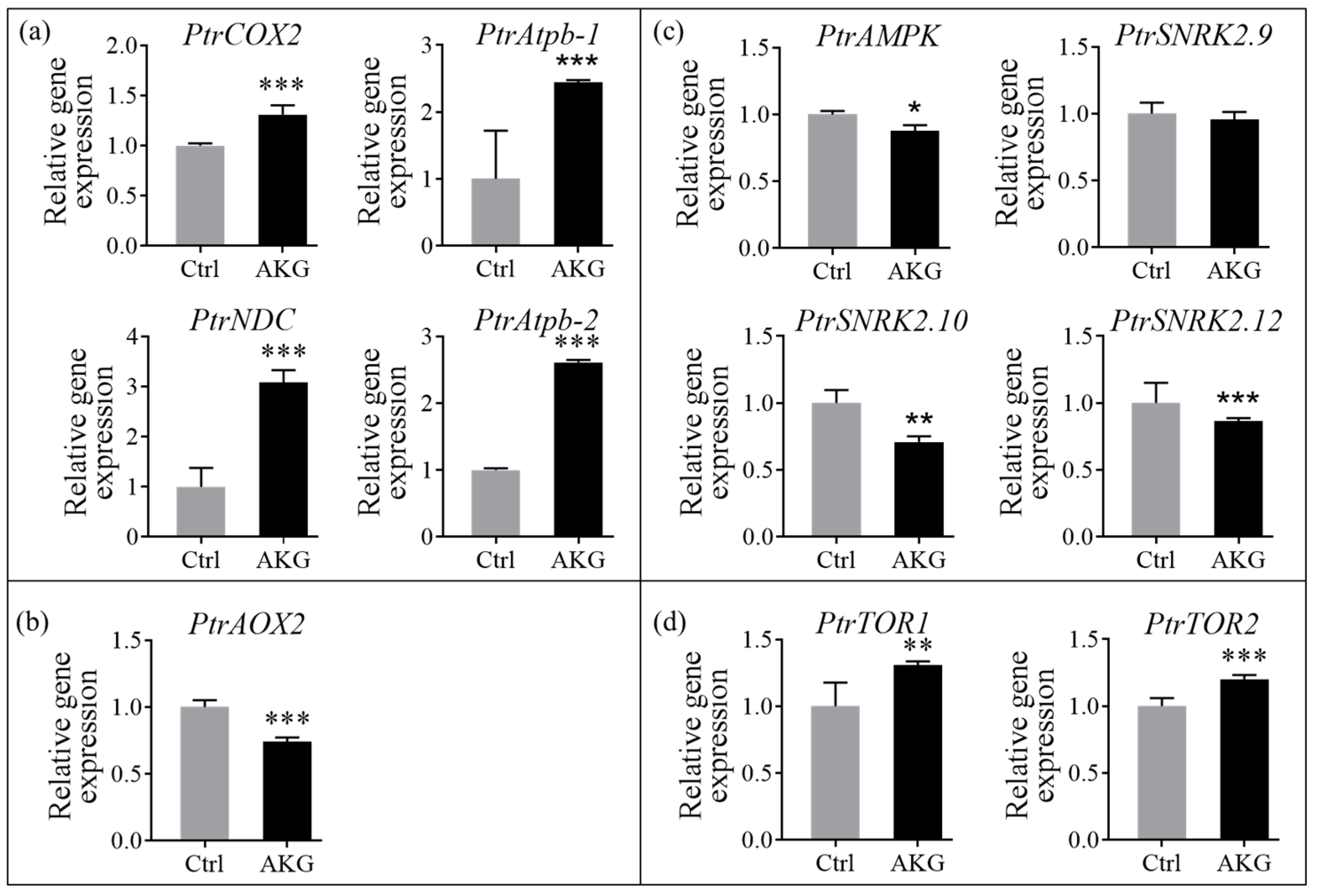 Molecules 29 01425 g010