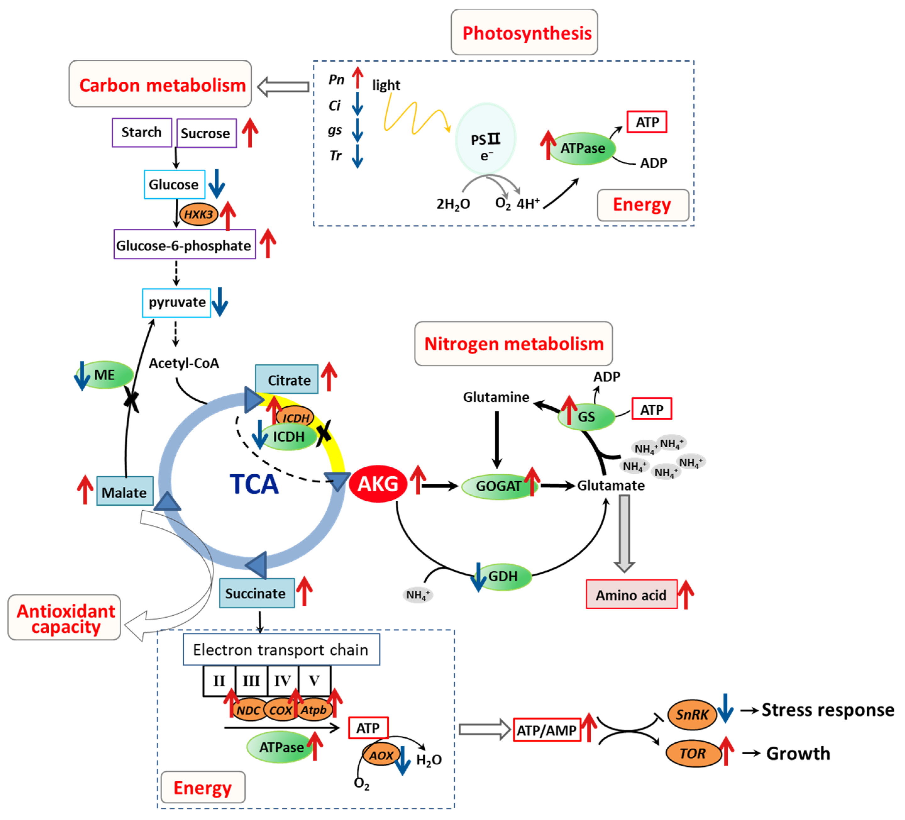 Molecules 29 01425 g011