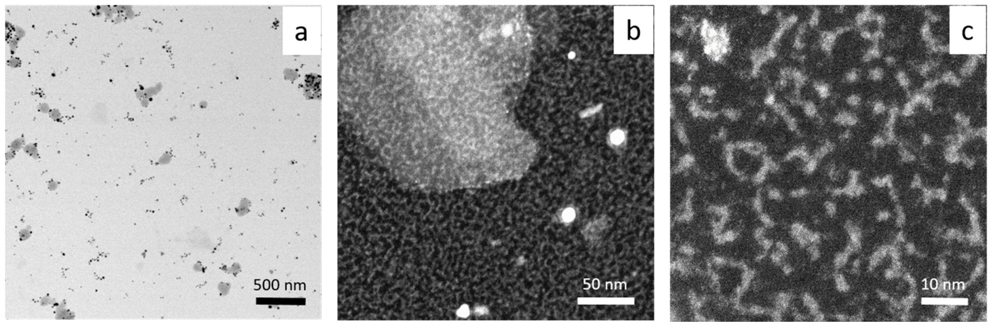 Molecules 29 01426 g006 Molecules 29 01426 g006