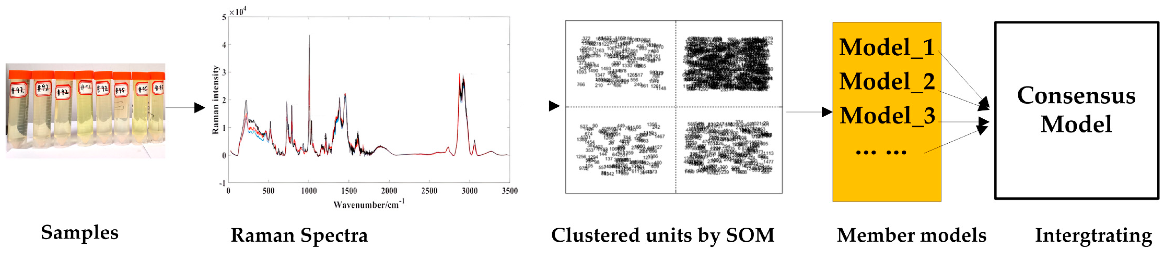 Molecules 29 01427 g001