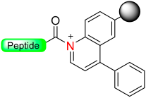 Molecules 29 01429 i015