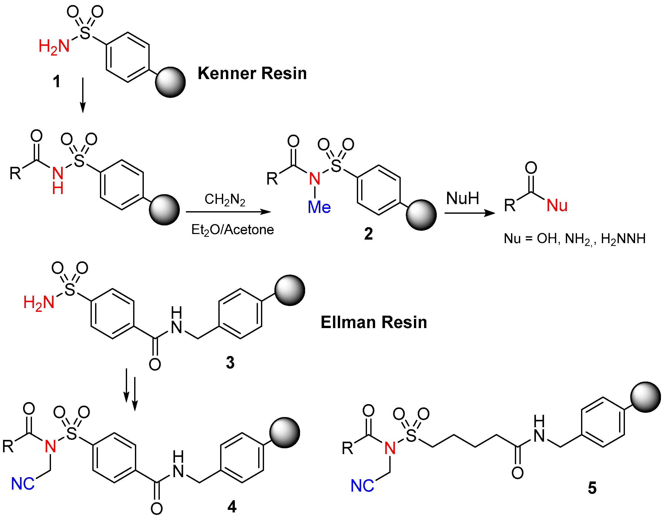 Molecules 29 01429 sch001
