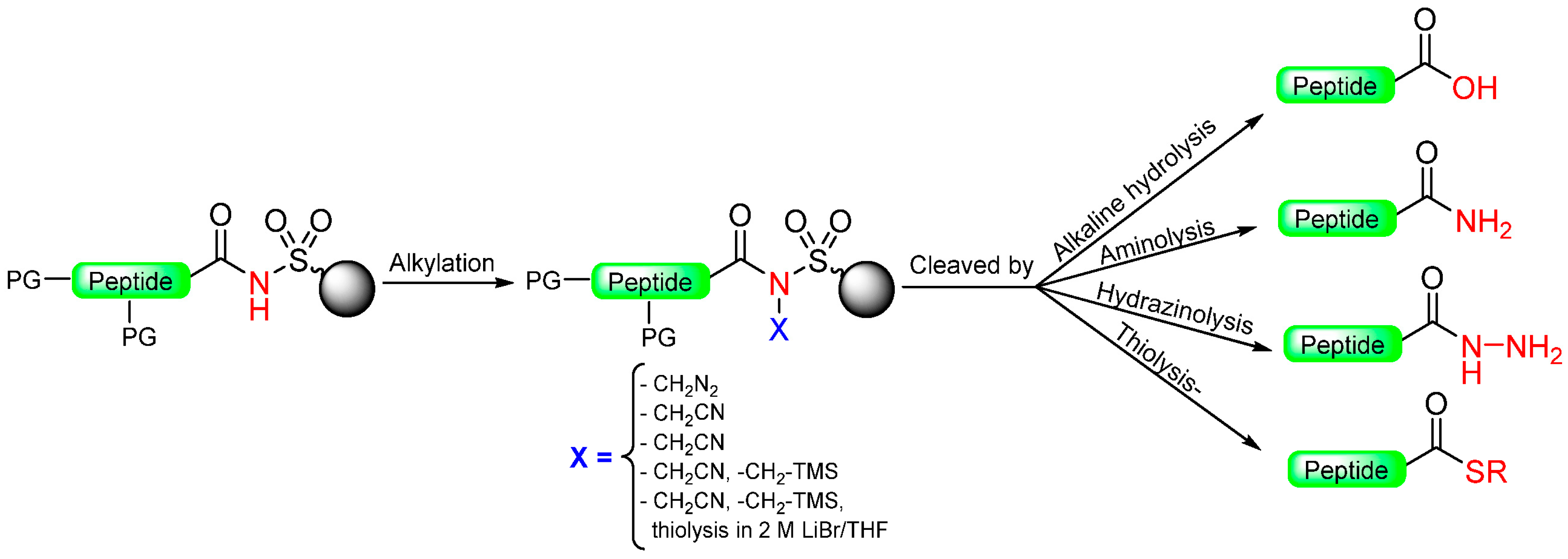 Molecules 29 01429 sch002