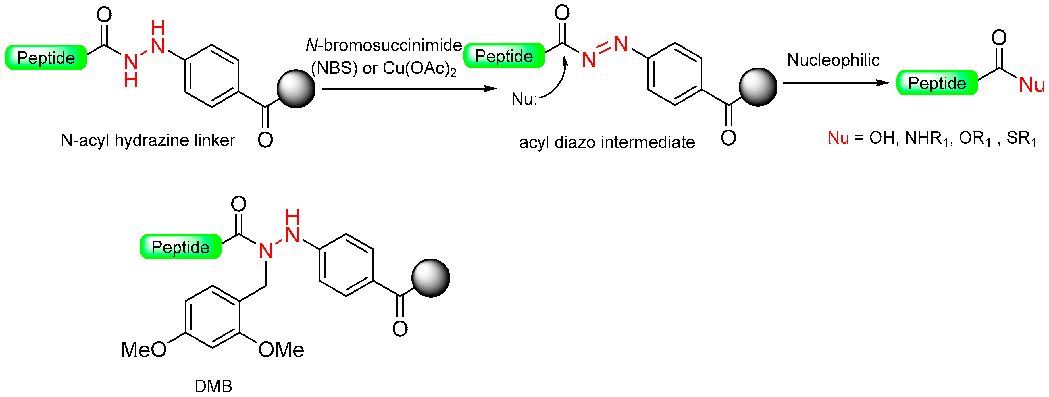 Molecules 29 01429 sch006