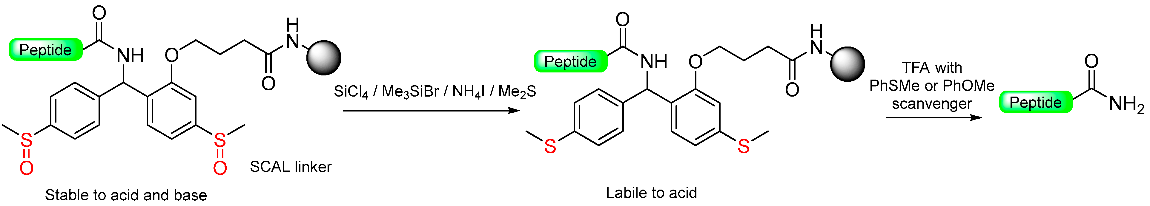 Molecules 29 01429 sch008