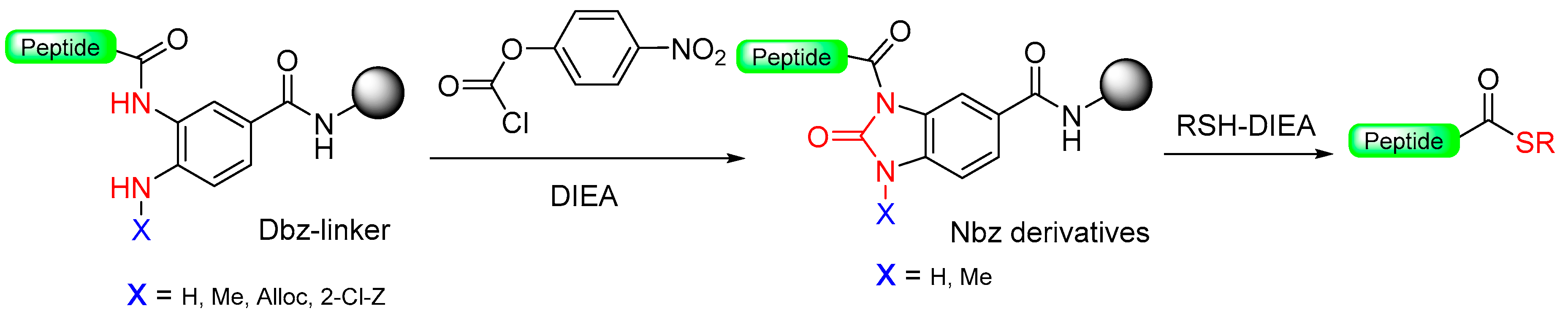 Molecules 29 01429 sch013