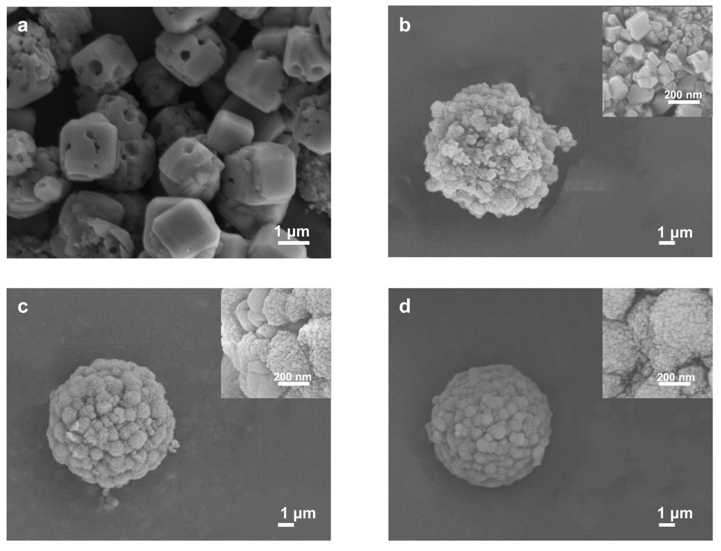 Molecules 29 01432 g002