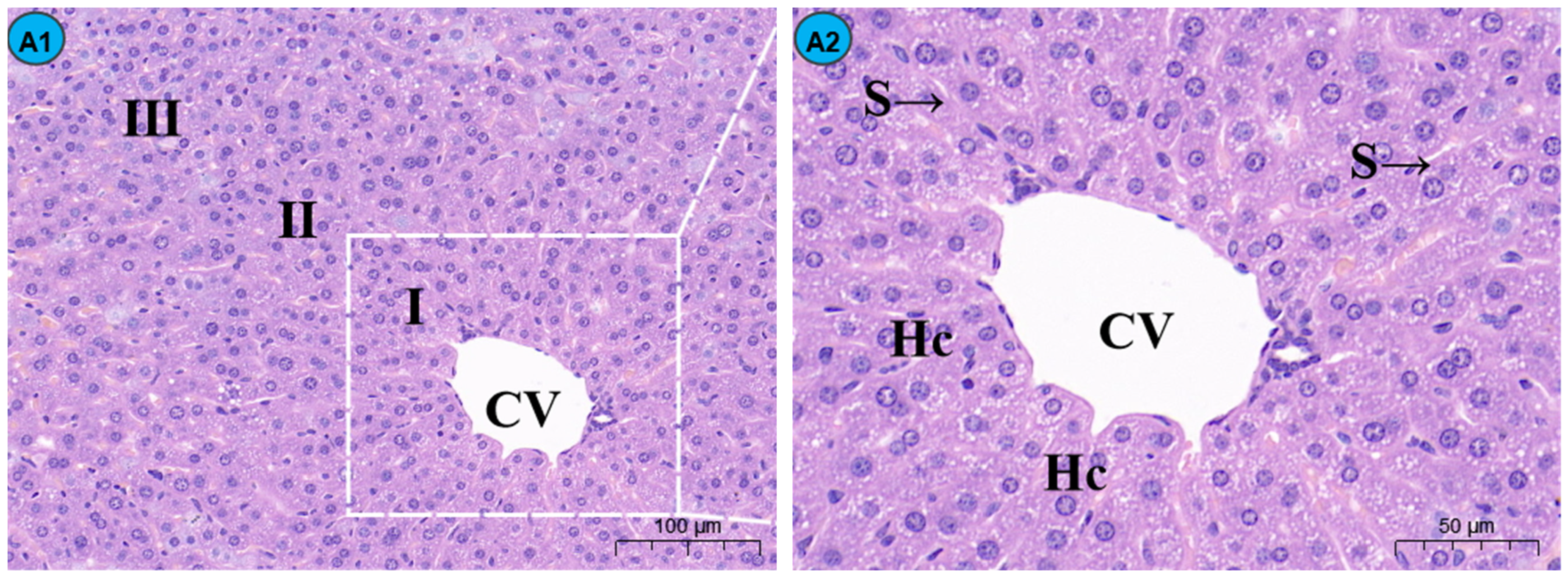 Molecules 29 01434 g001a