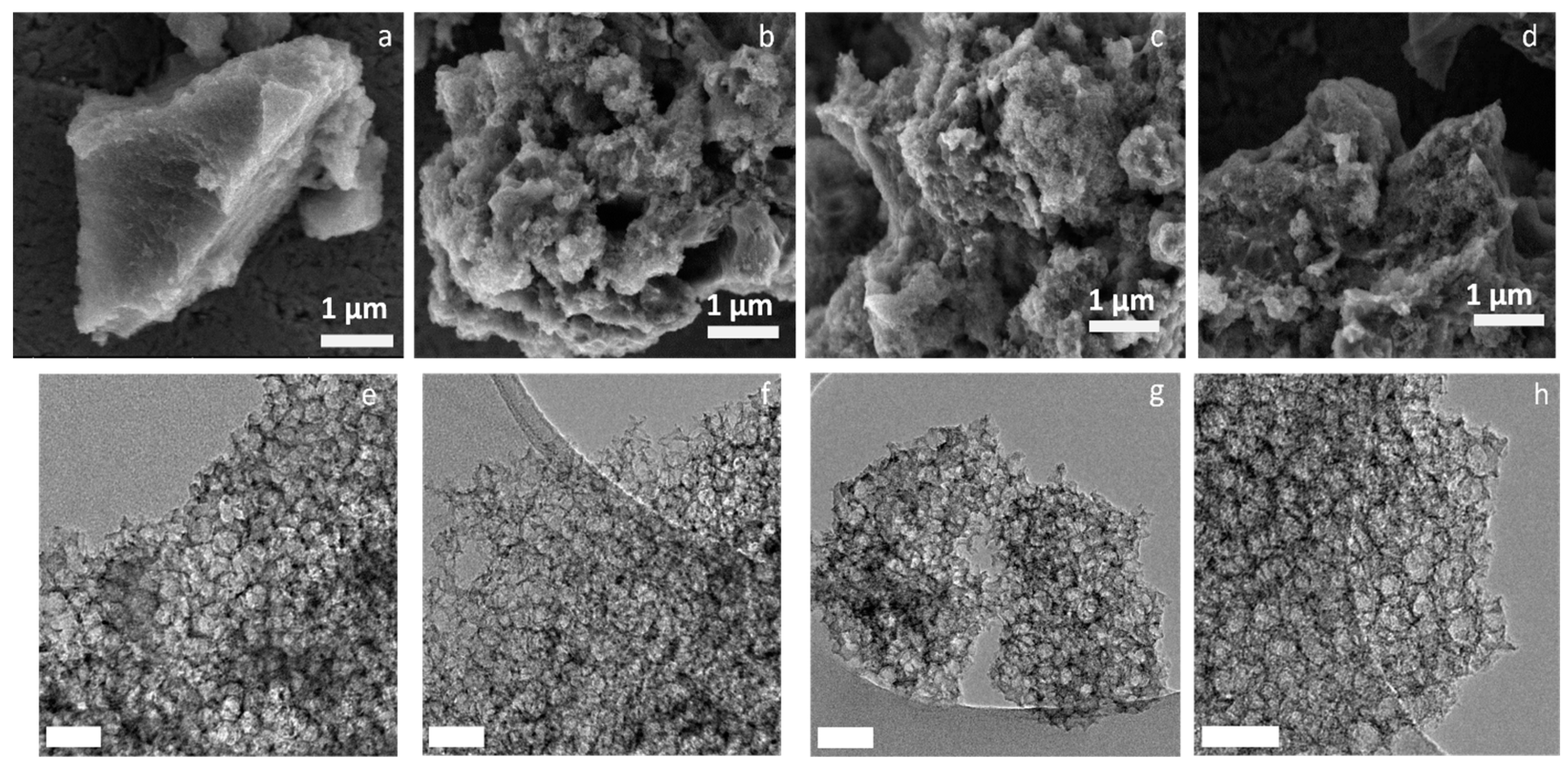 Molecules 29 01436 g002